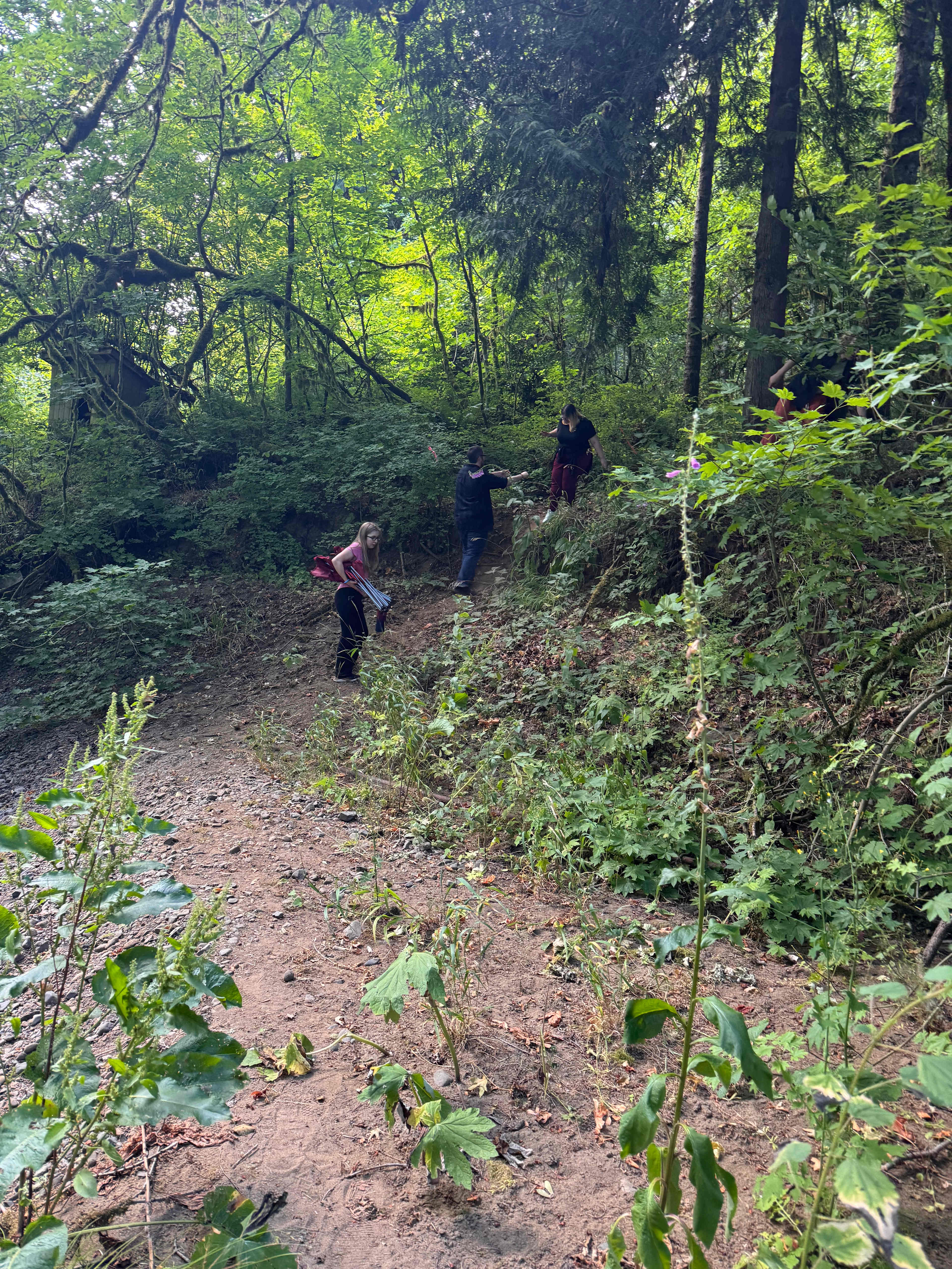 RV+ Rainbow Falls / Willapa Trails