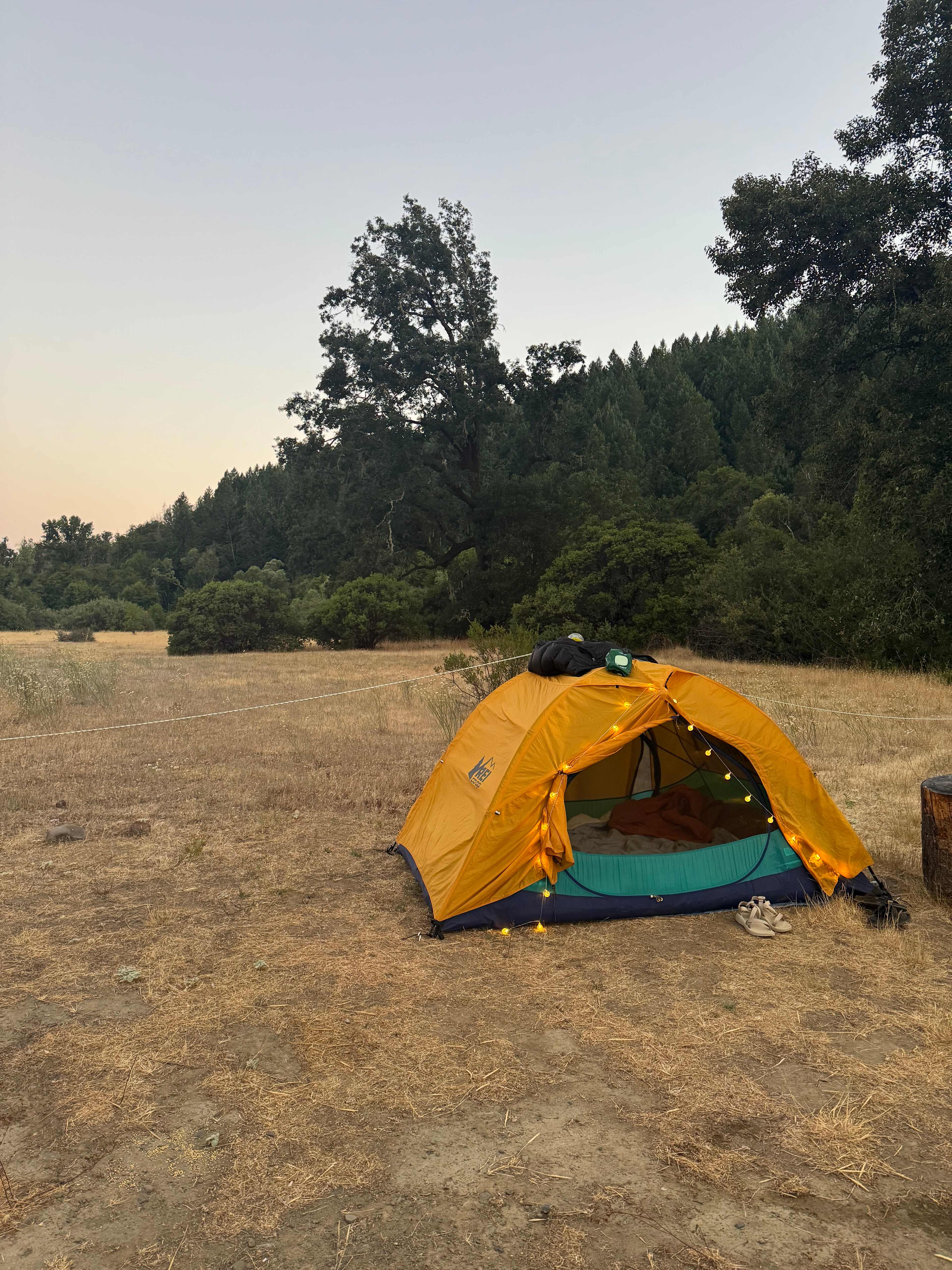 Open space by Campsite #1