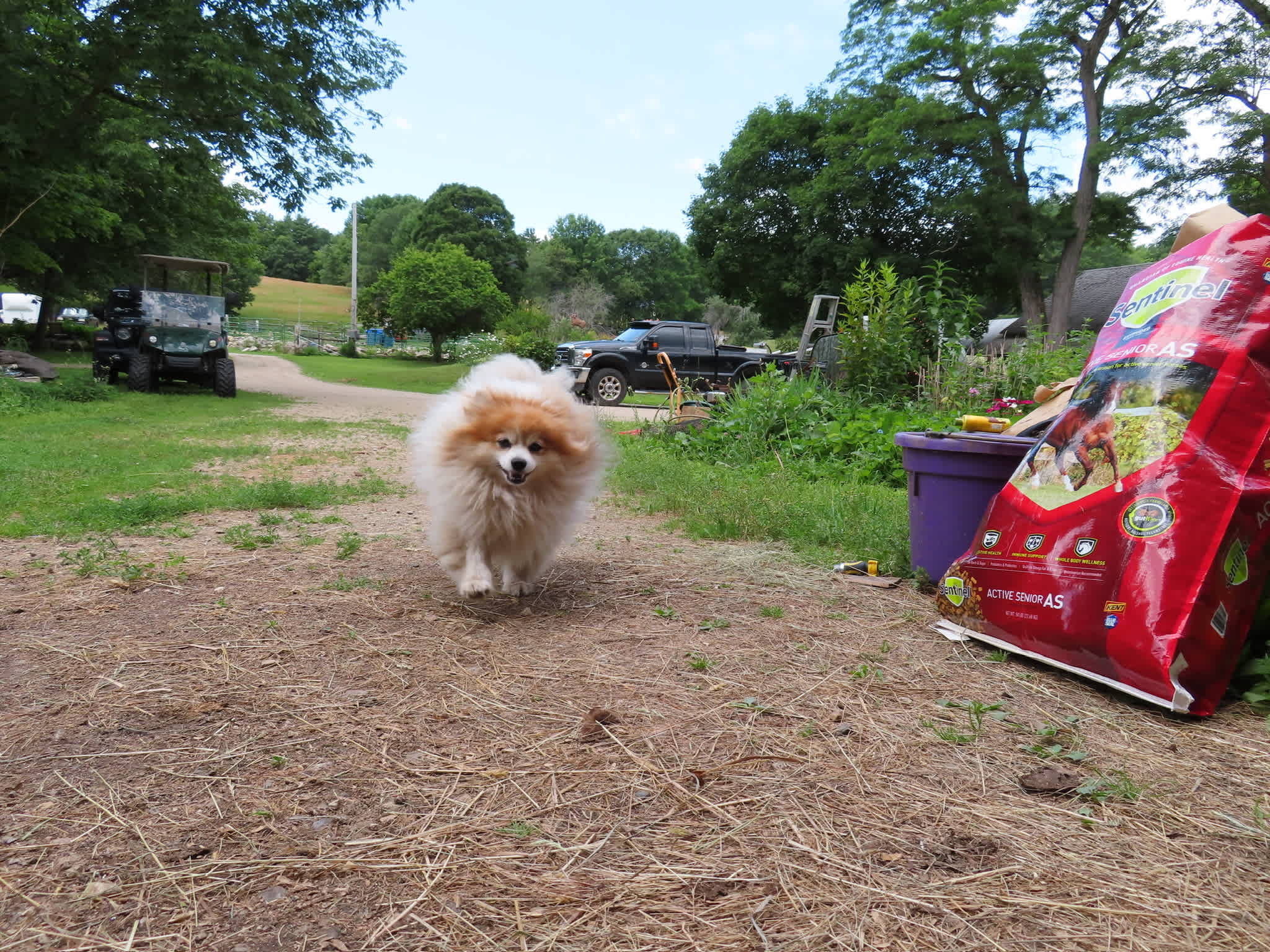 BrandiLee Woods at the Woolley farm