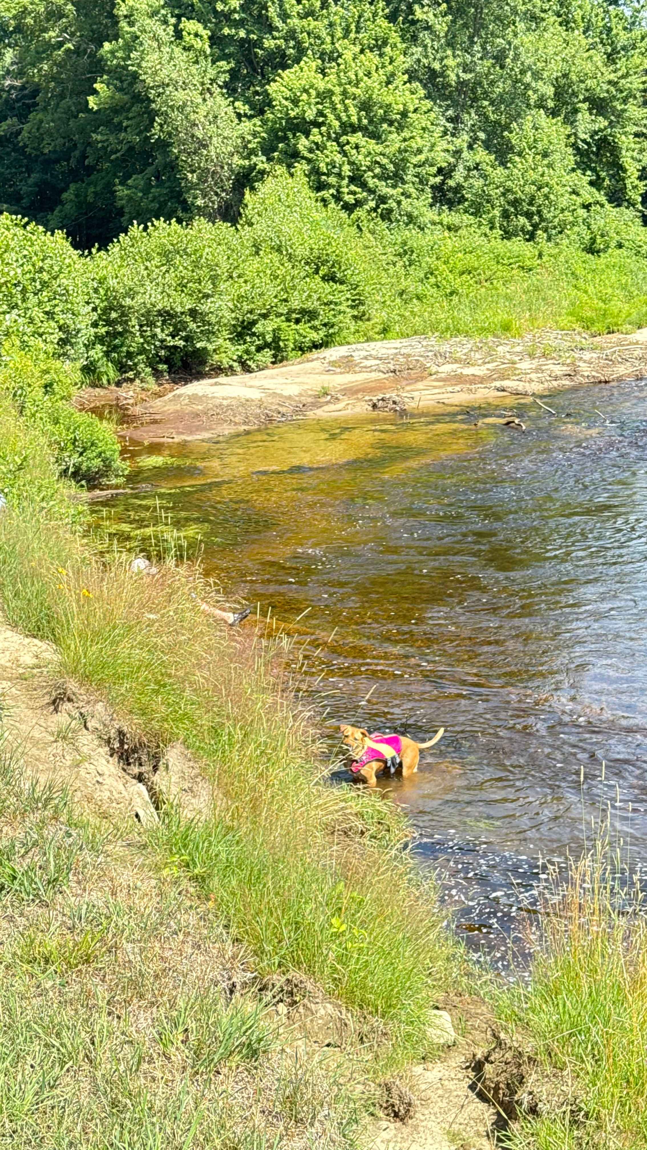 Horseshoe Bend NH