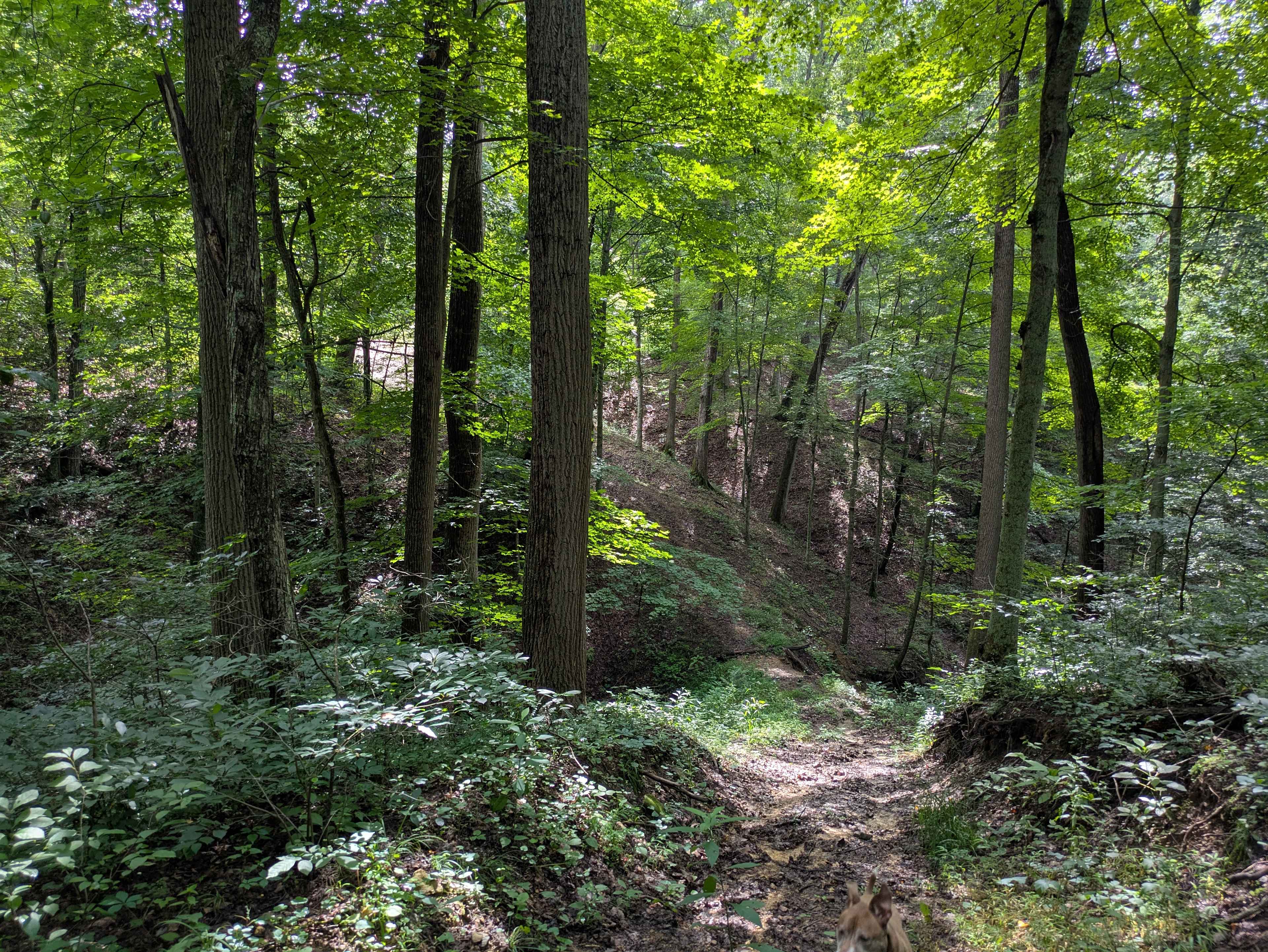 Hocking Hills Private RV Retreat