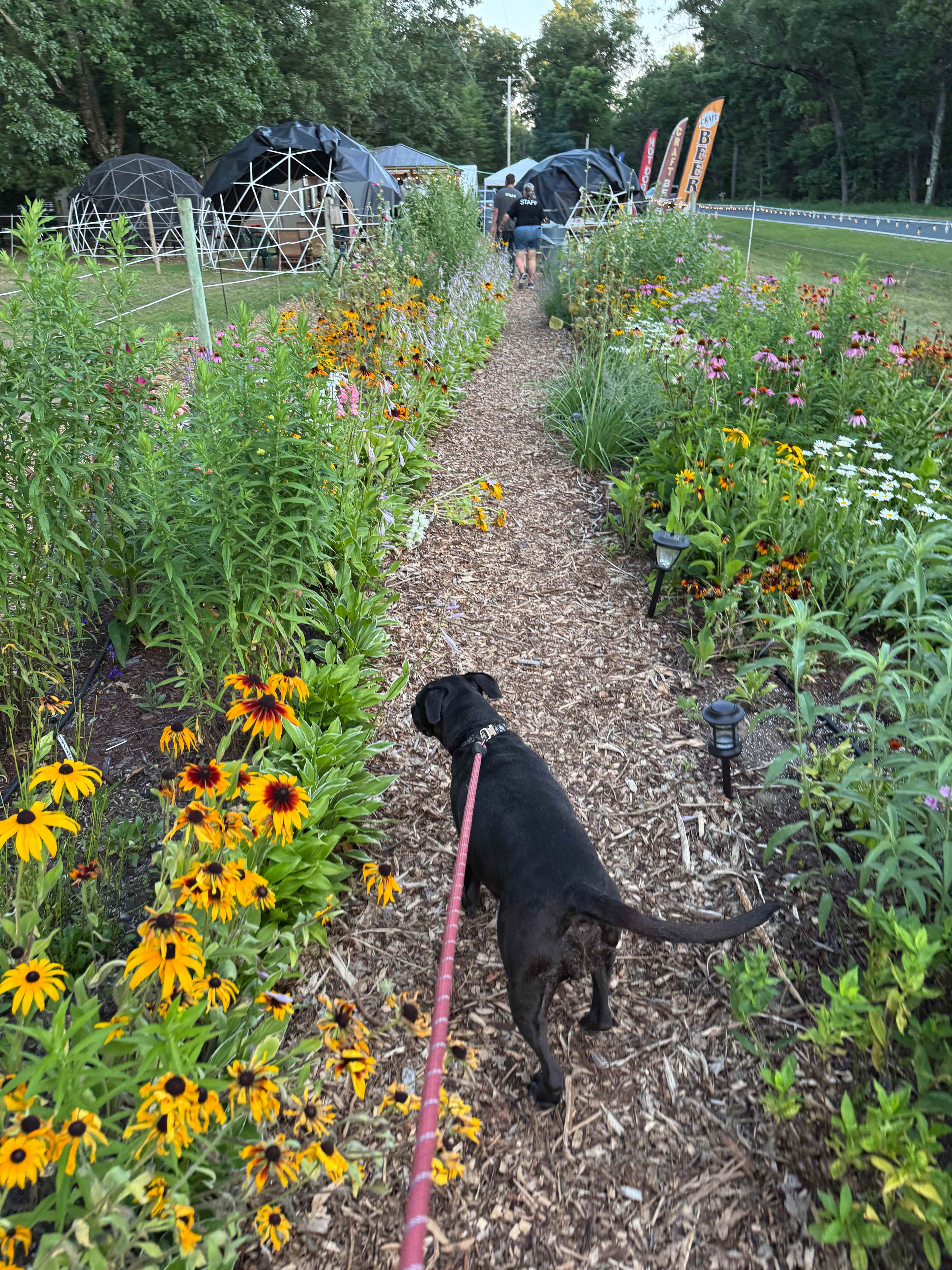 Blue Lake Hops & Gardens