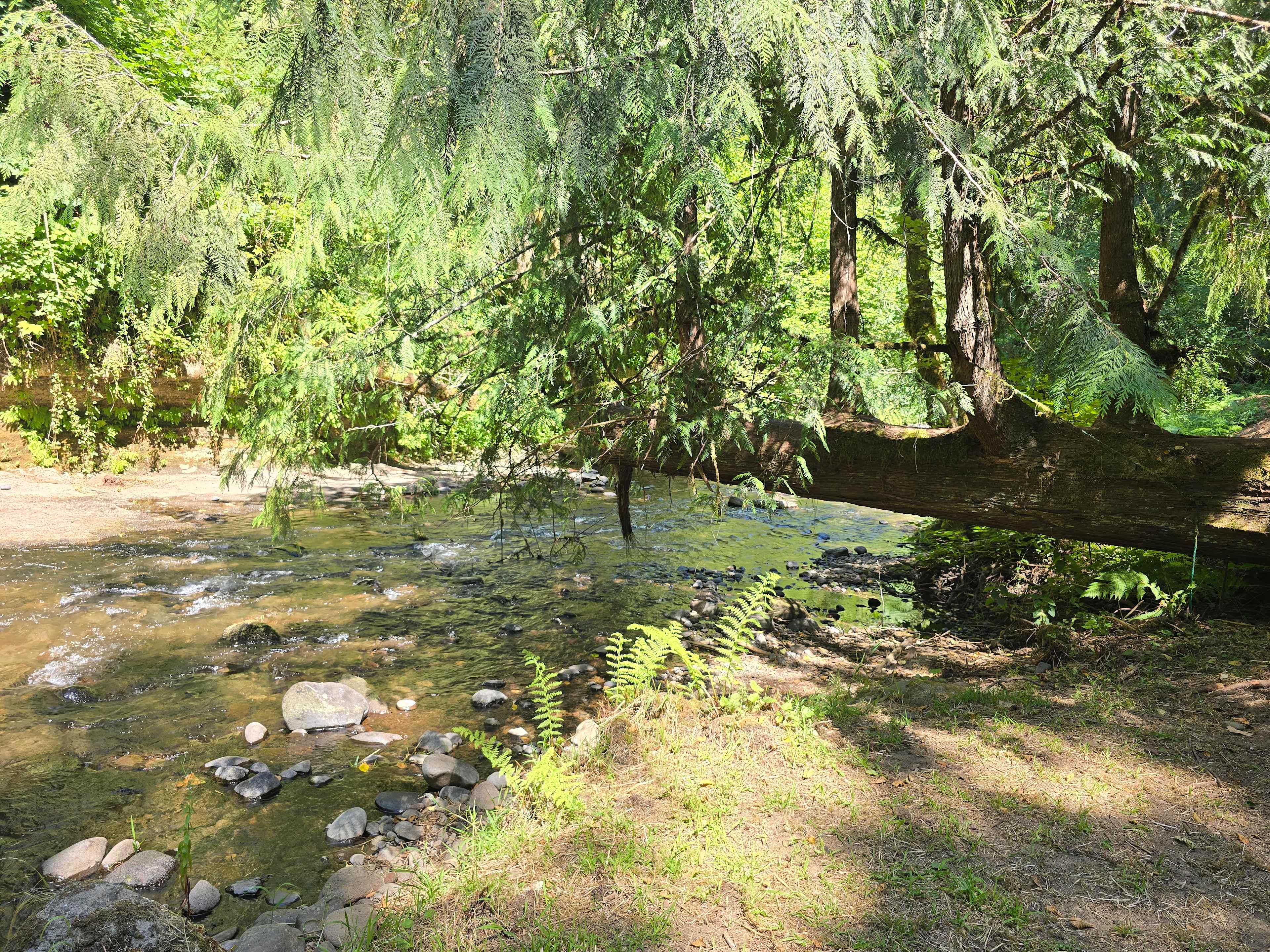 Zen Acres