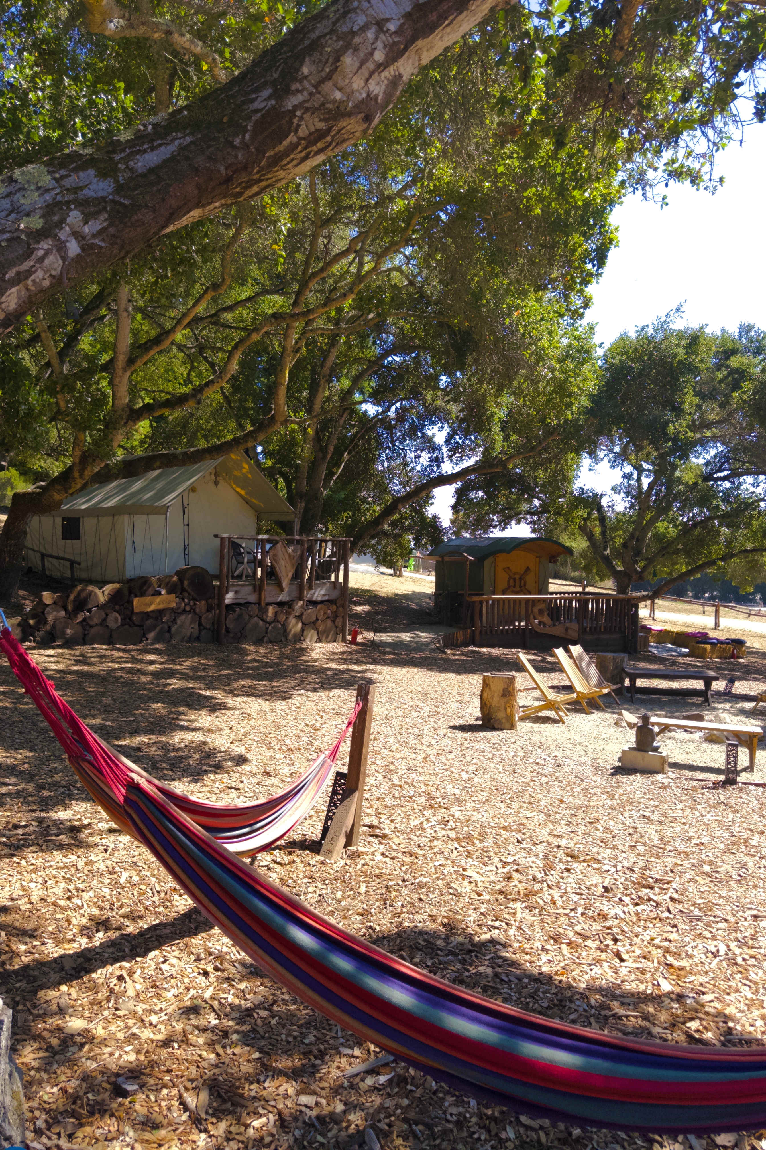 FEEL GOOD CAMP