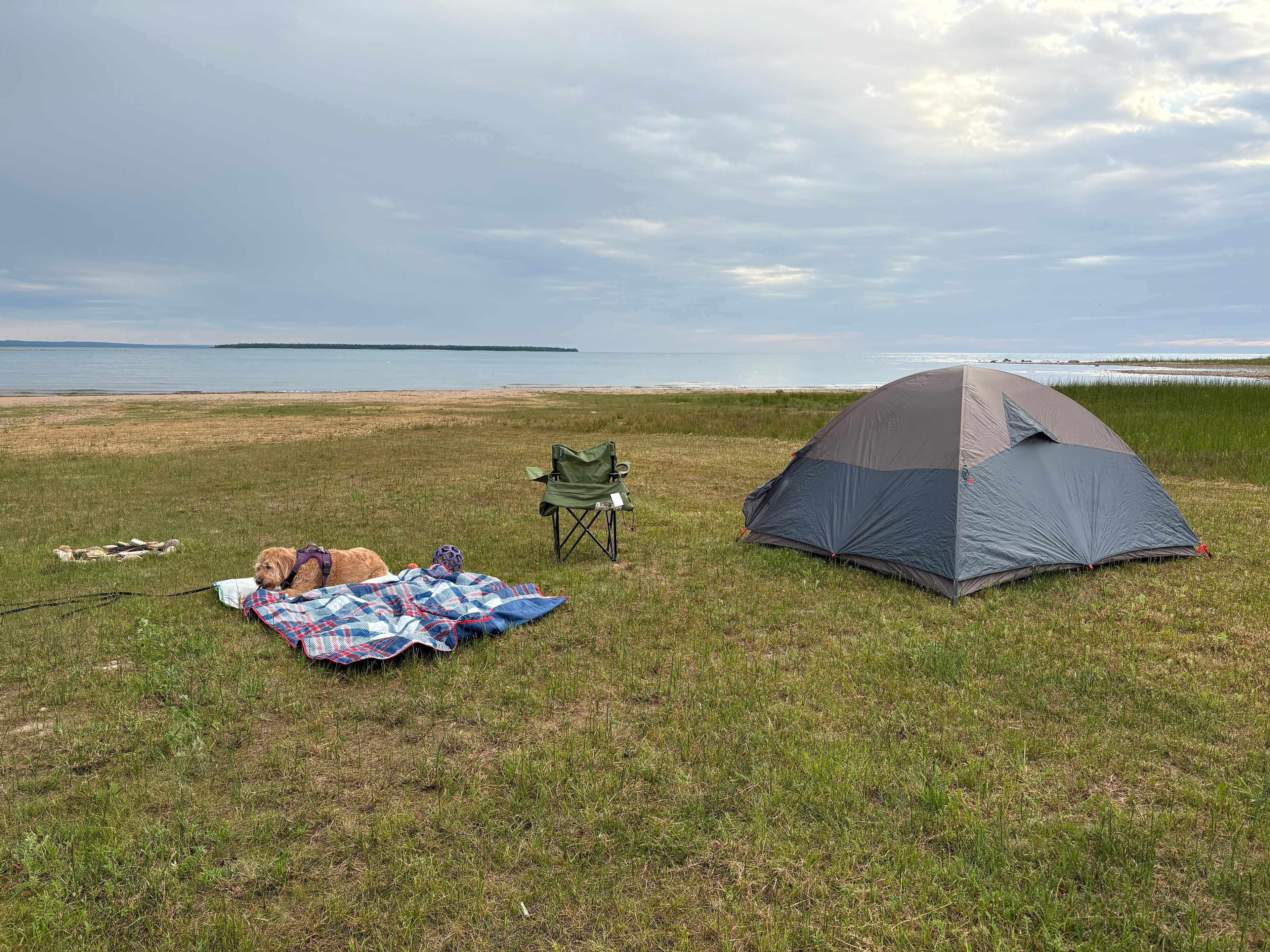 Just Show Up Camping