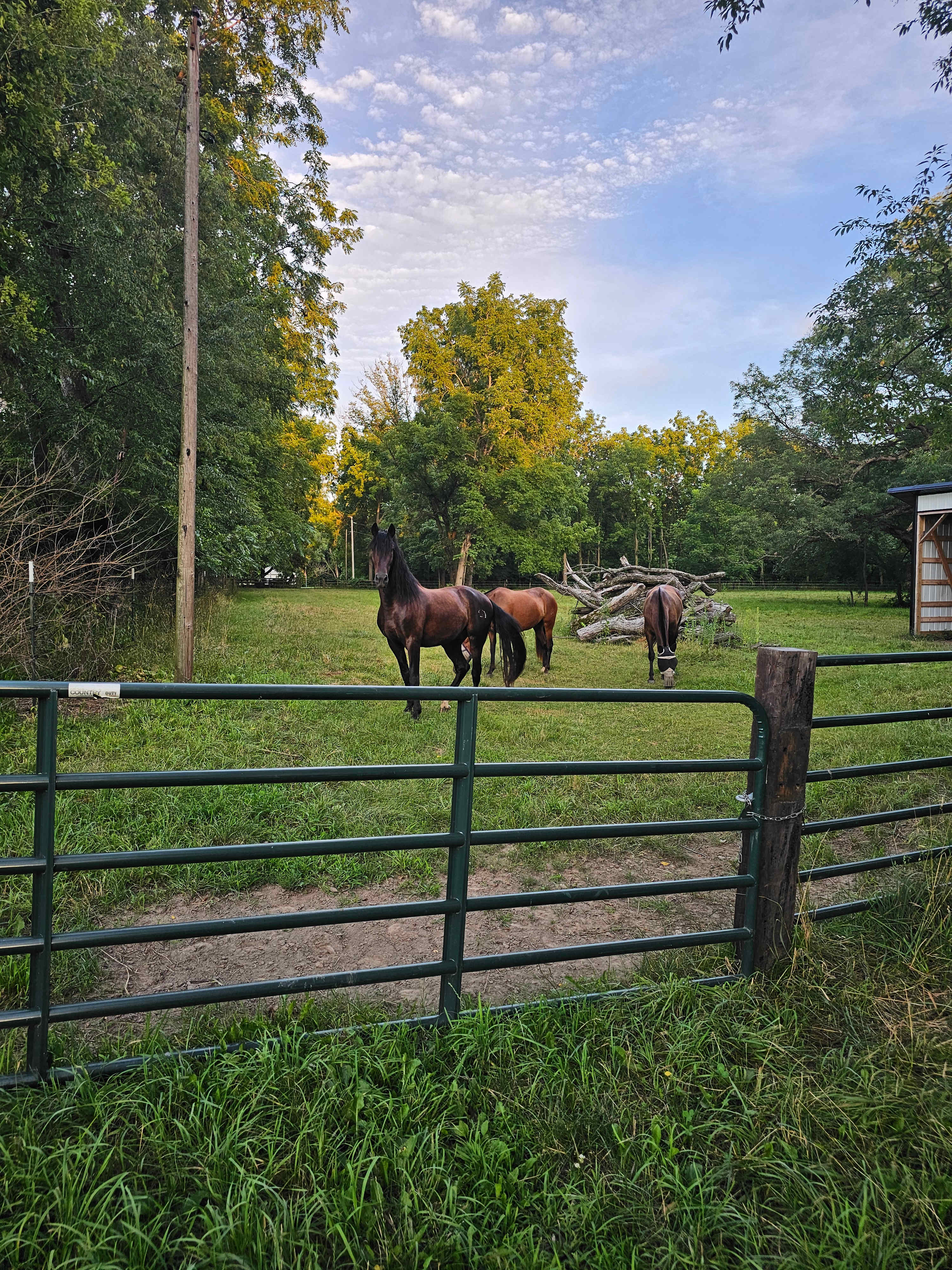 Bear Bottom Ranch