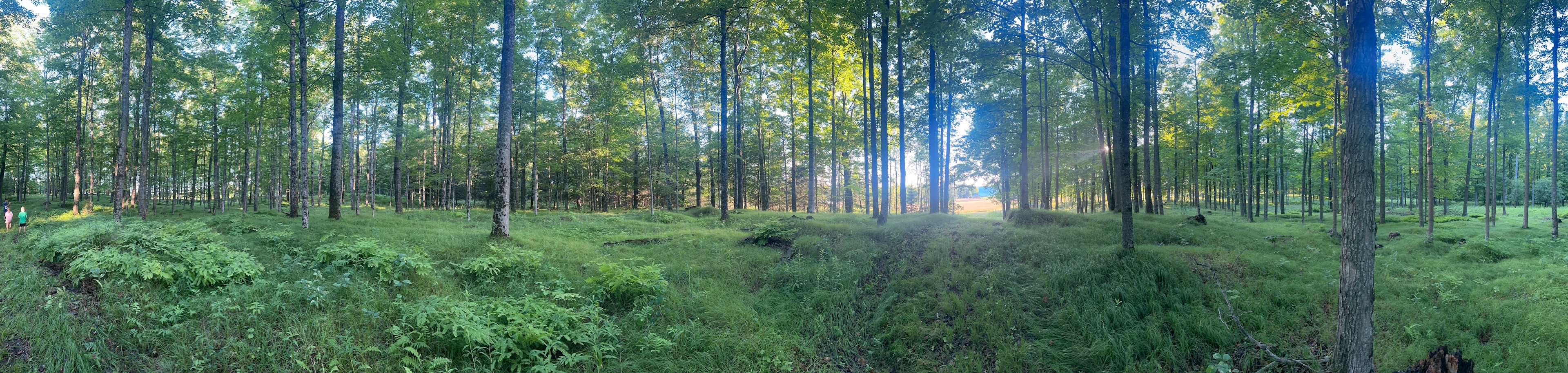 Hiking the trails