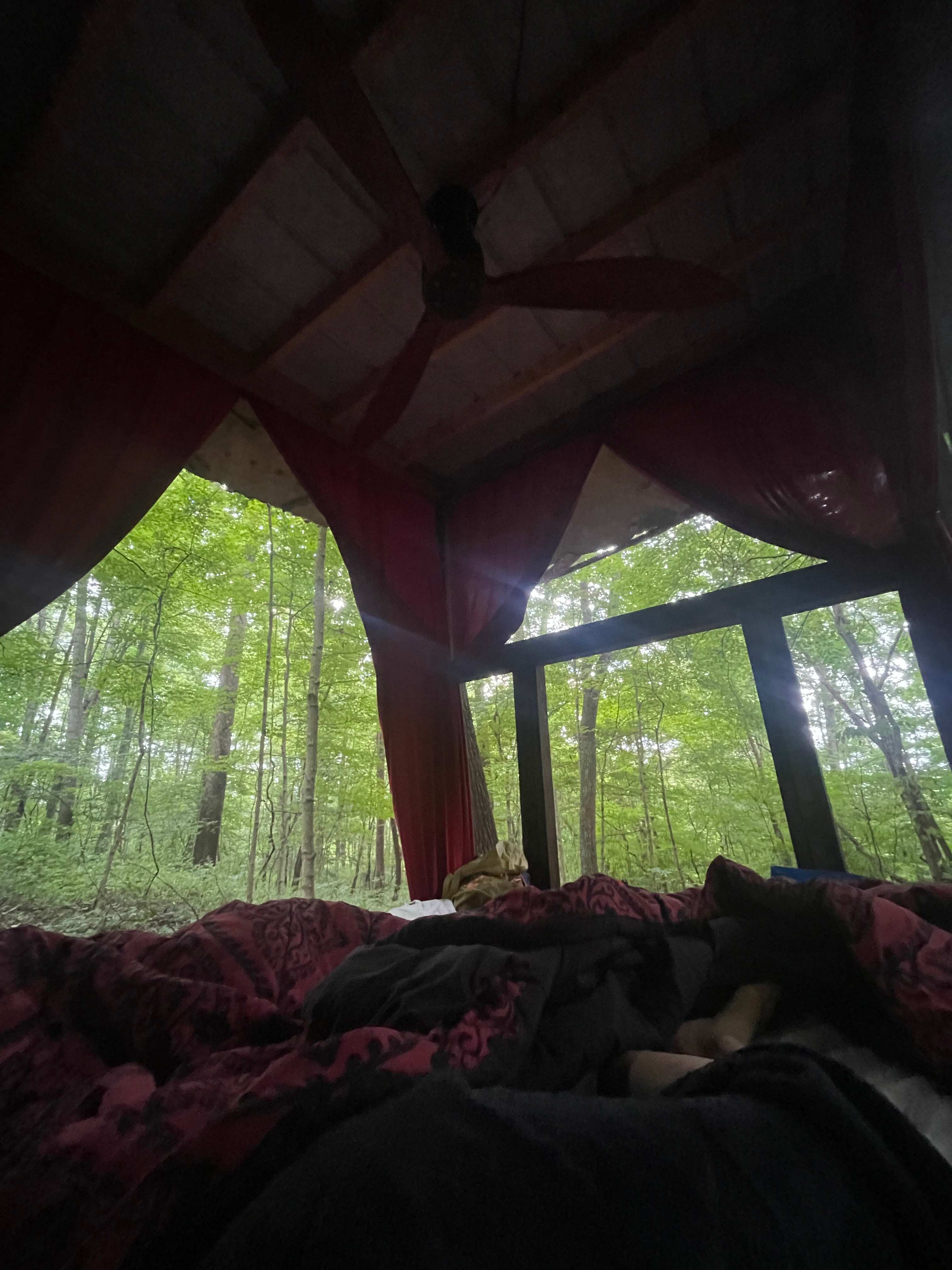 View from our nest bed