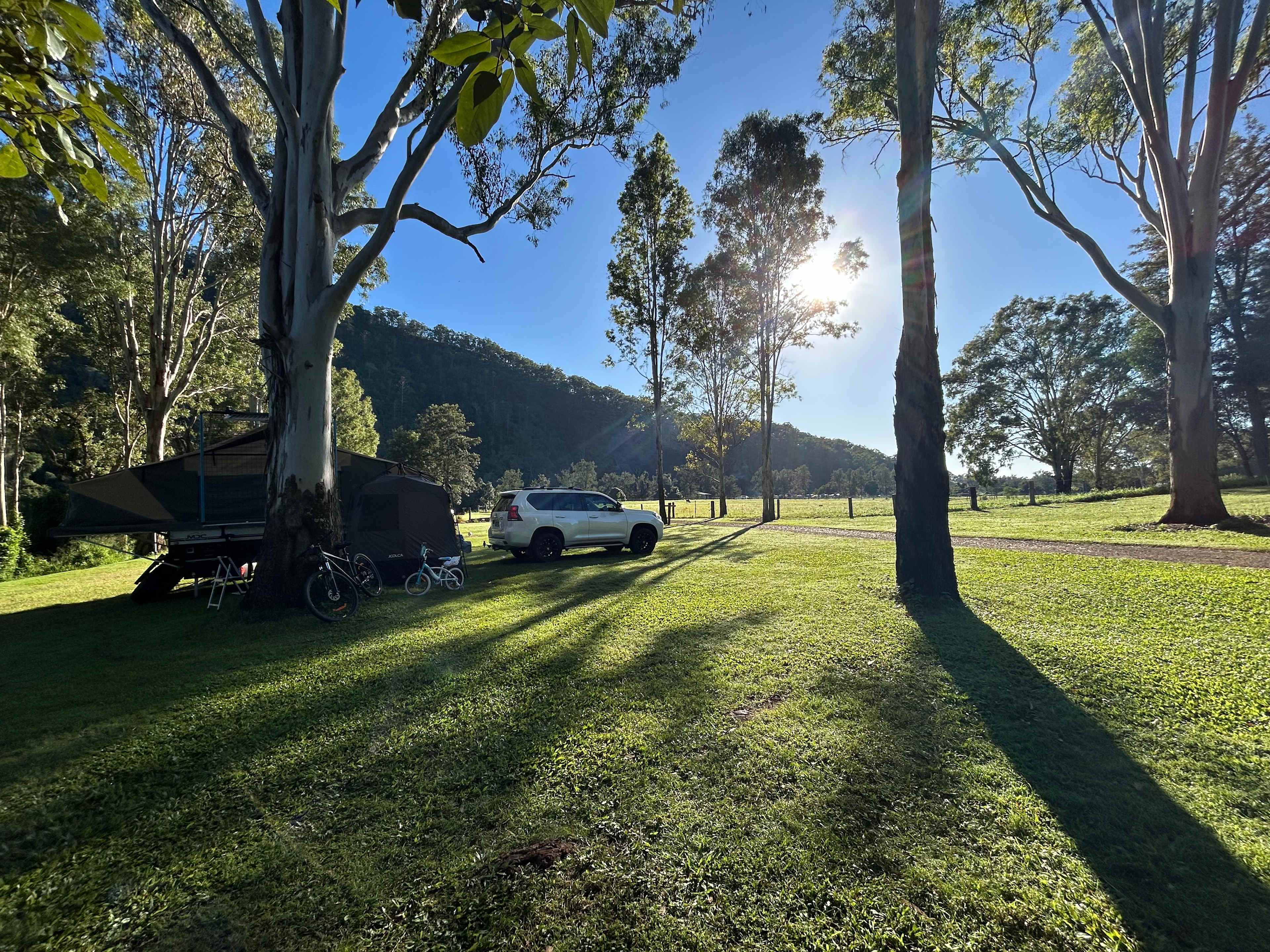 Yabba Creek Farm