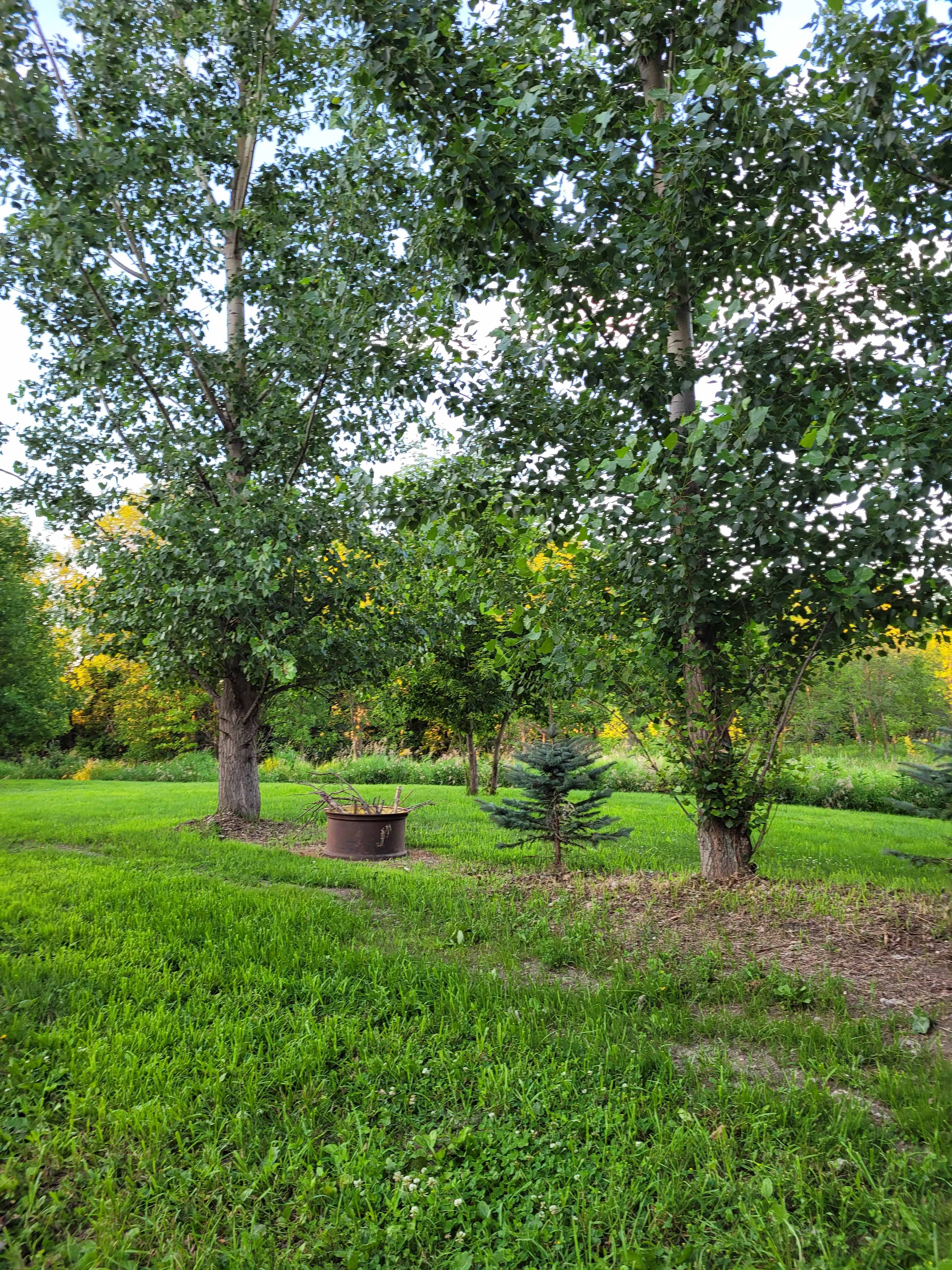 🌿 Oak Crest RV Getaway