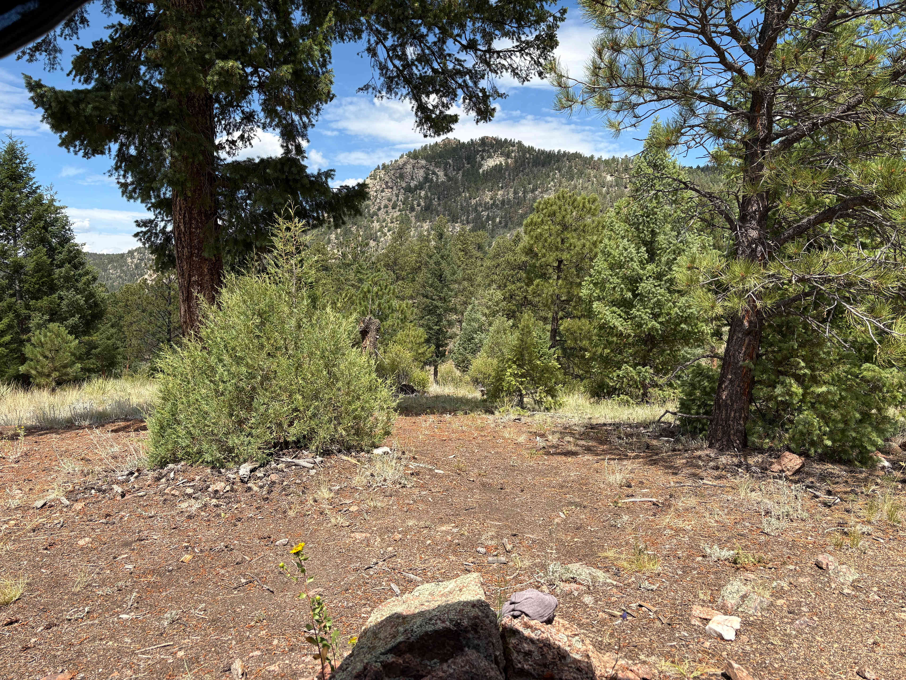 Serenity in the Foothills