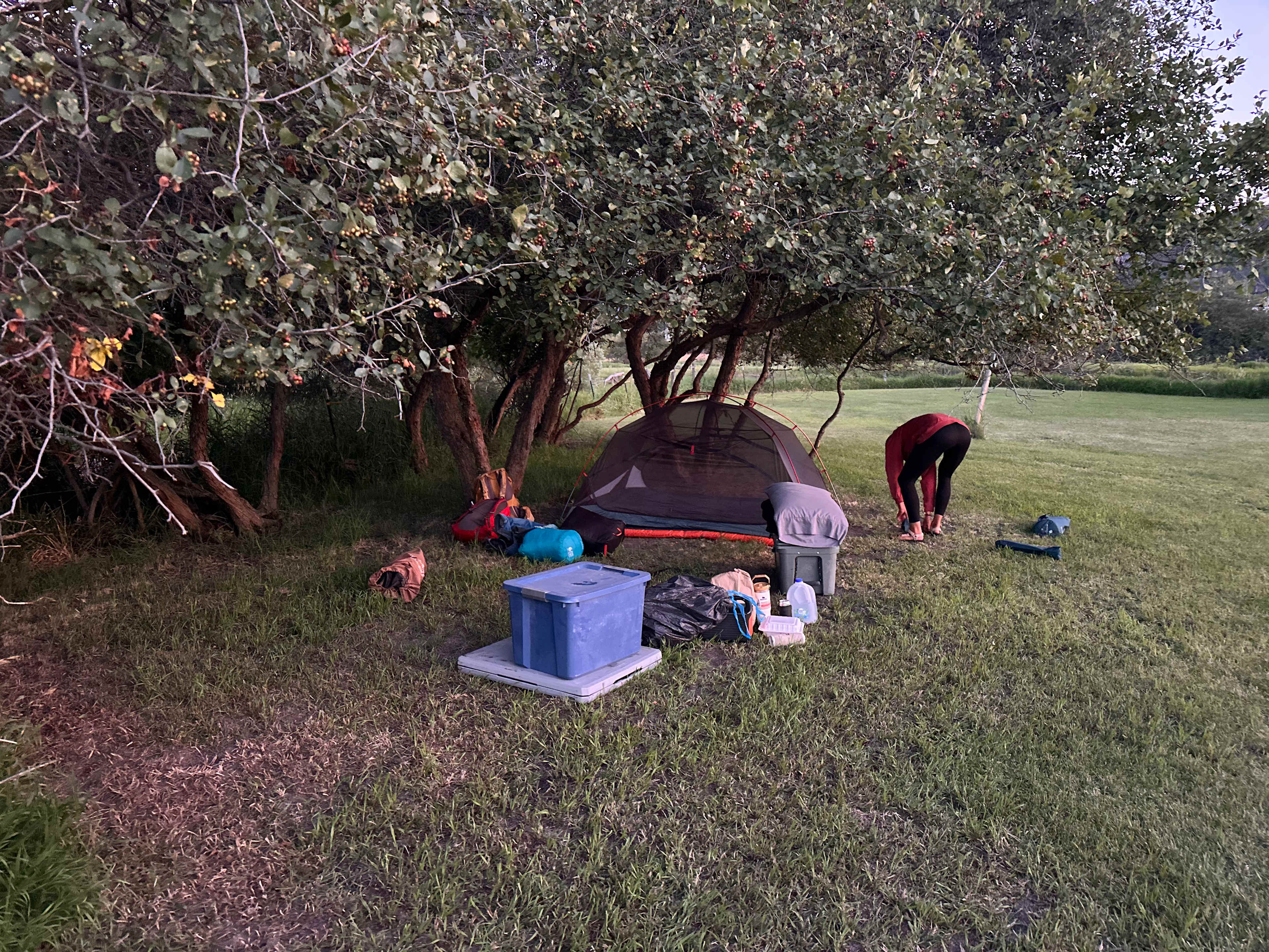 Picture of the site