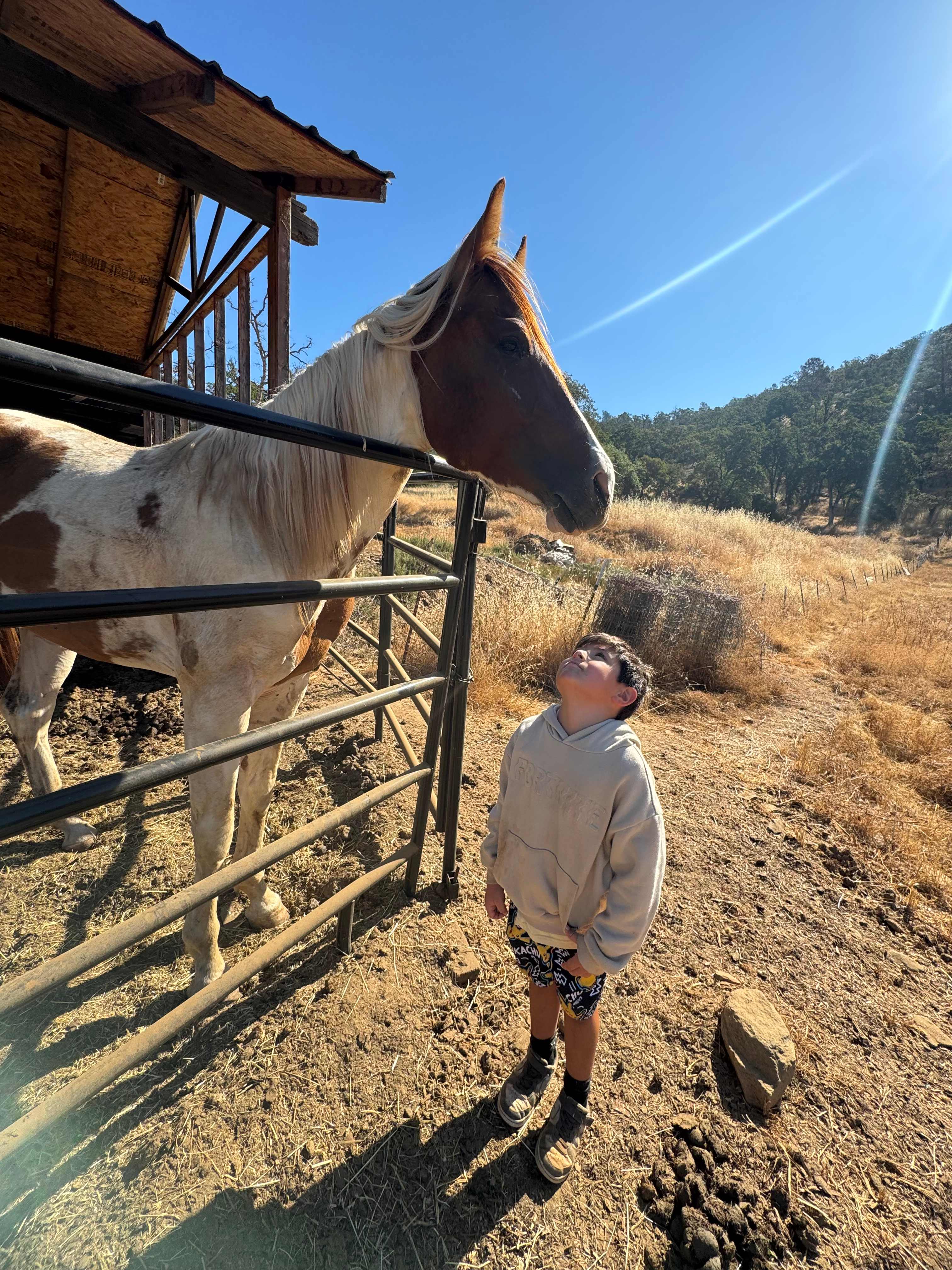 Ascension Ranch