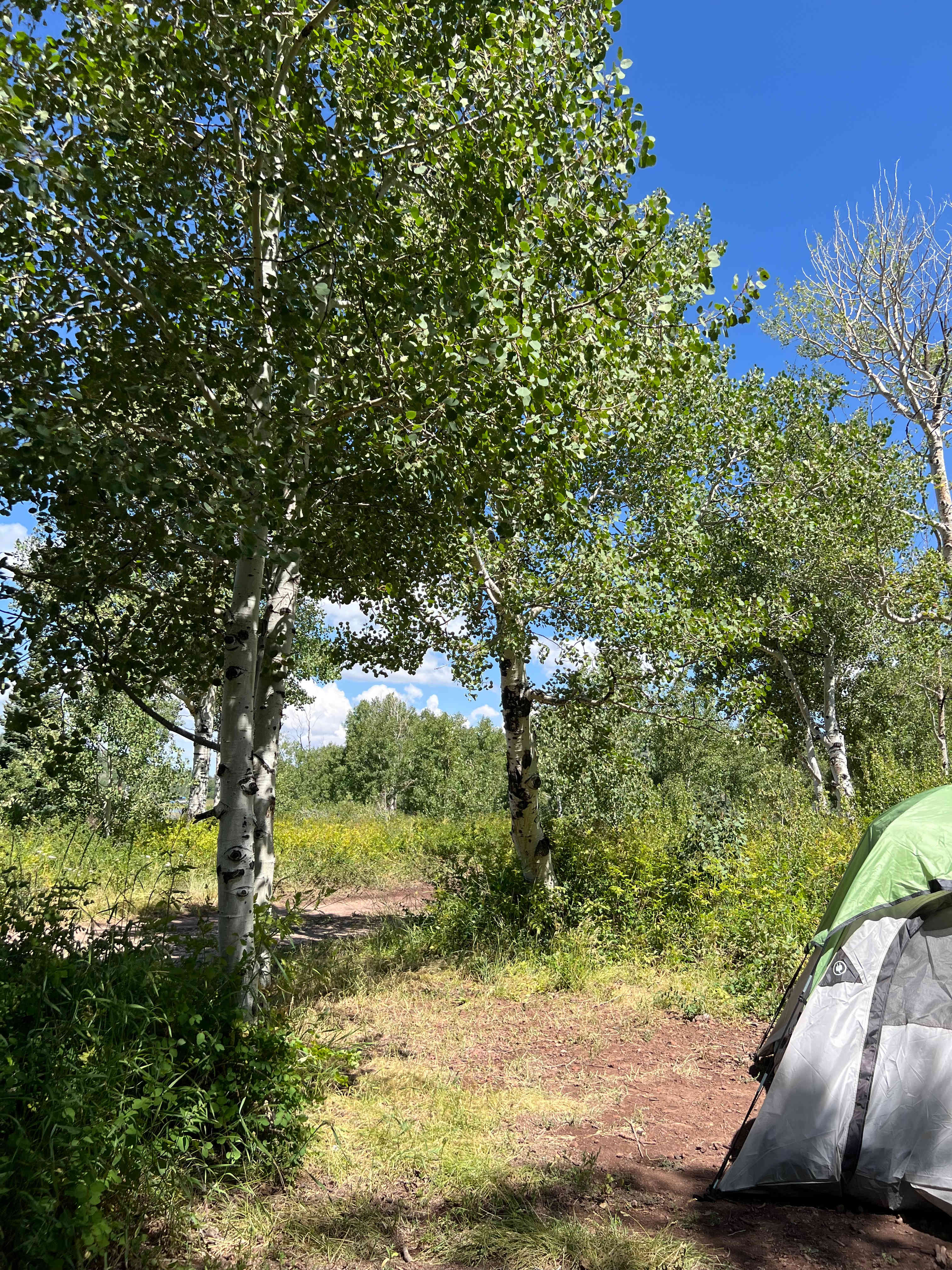 Kolob Campground