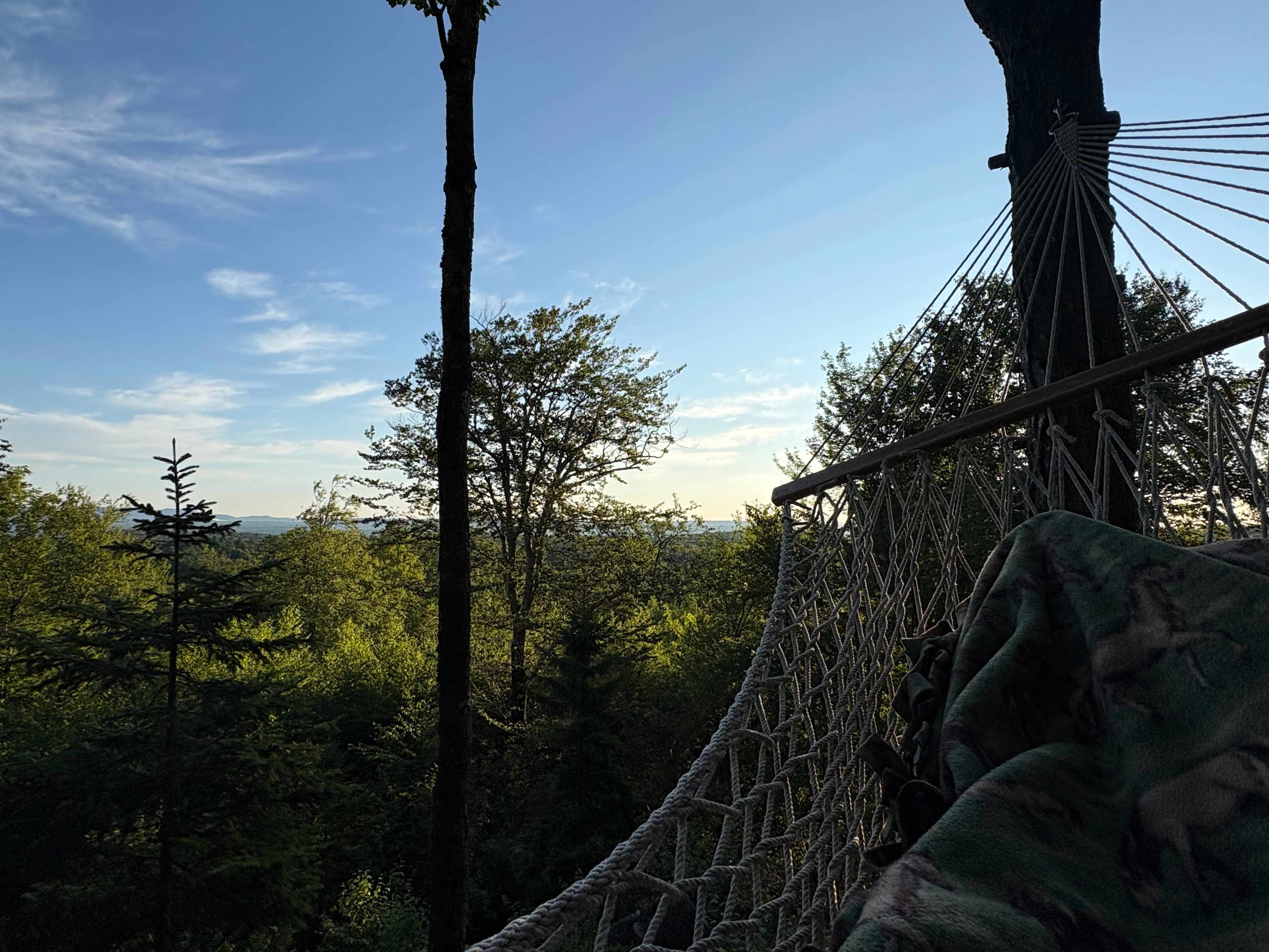 Hussey Mountain Tree Farm