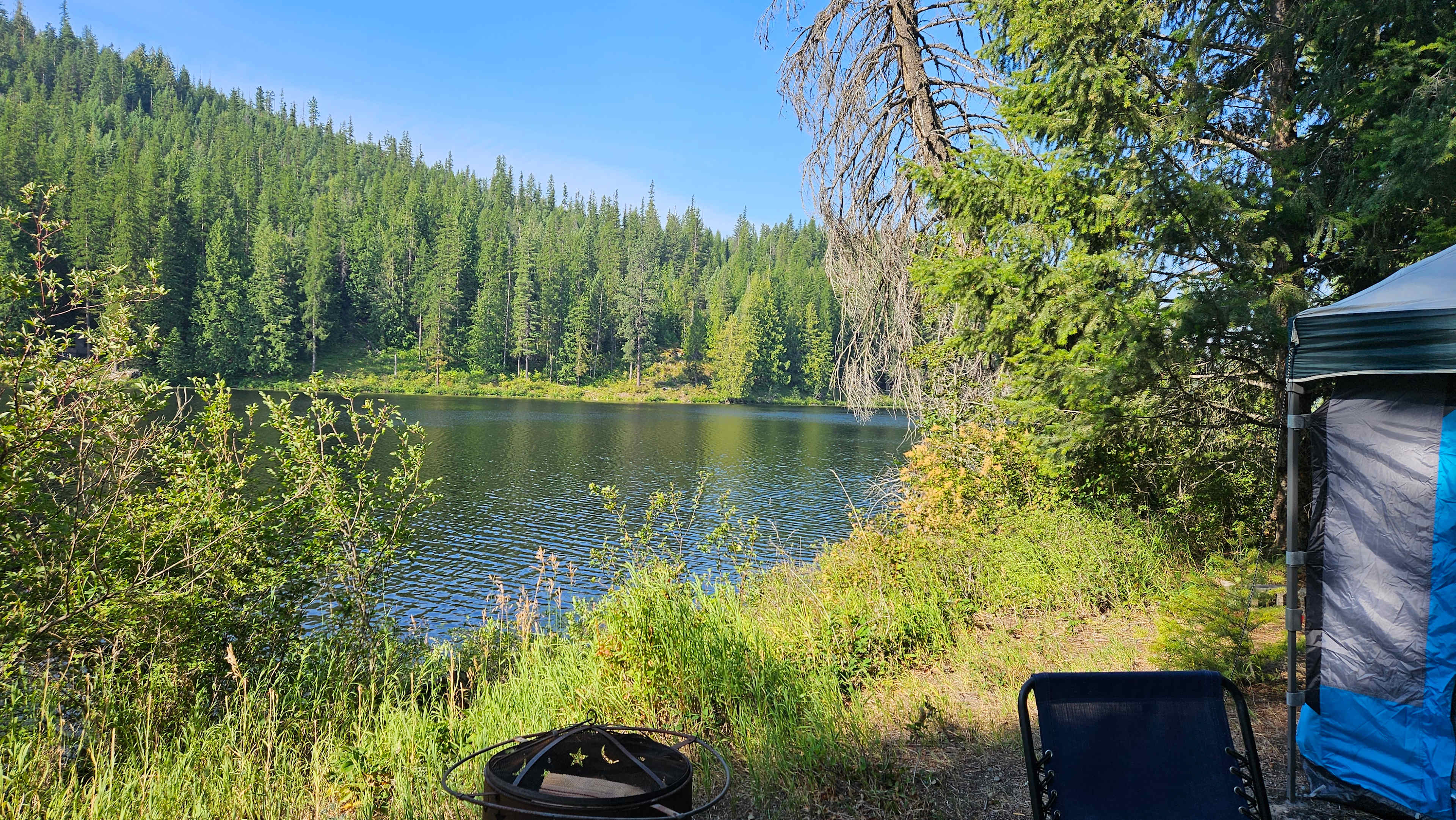 The Hidden Frog On Kelso Lake