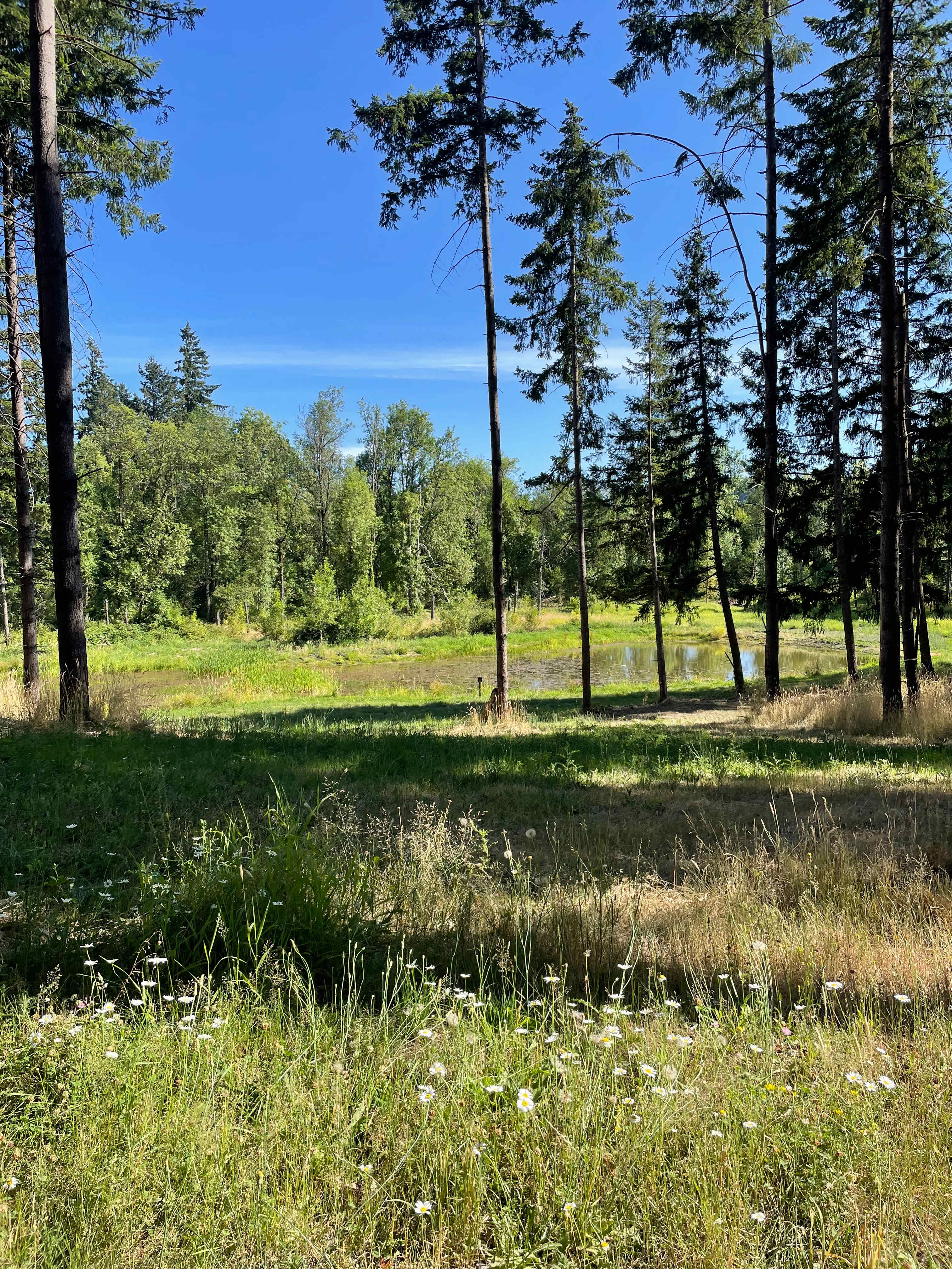 Oregon Trail Wagon Farm Stay