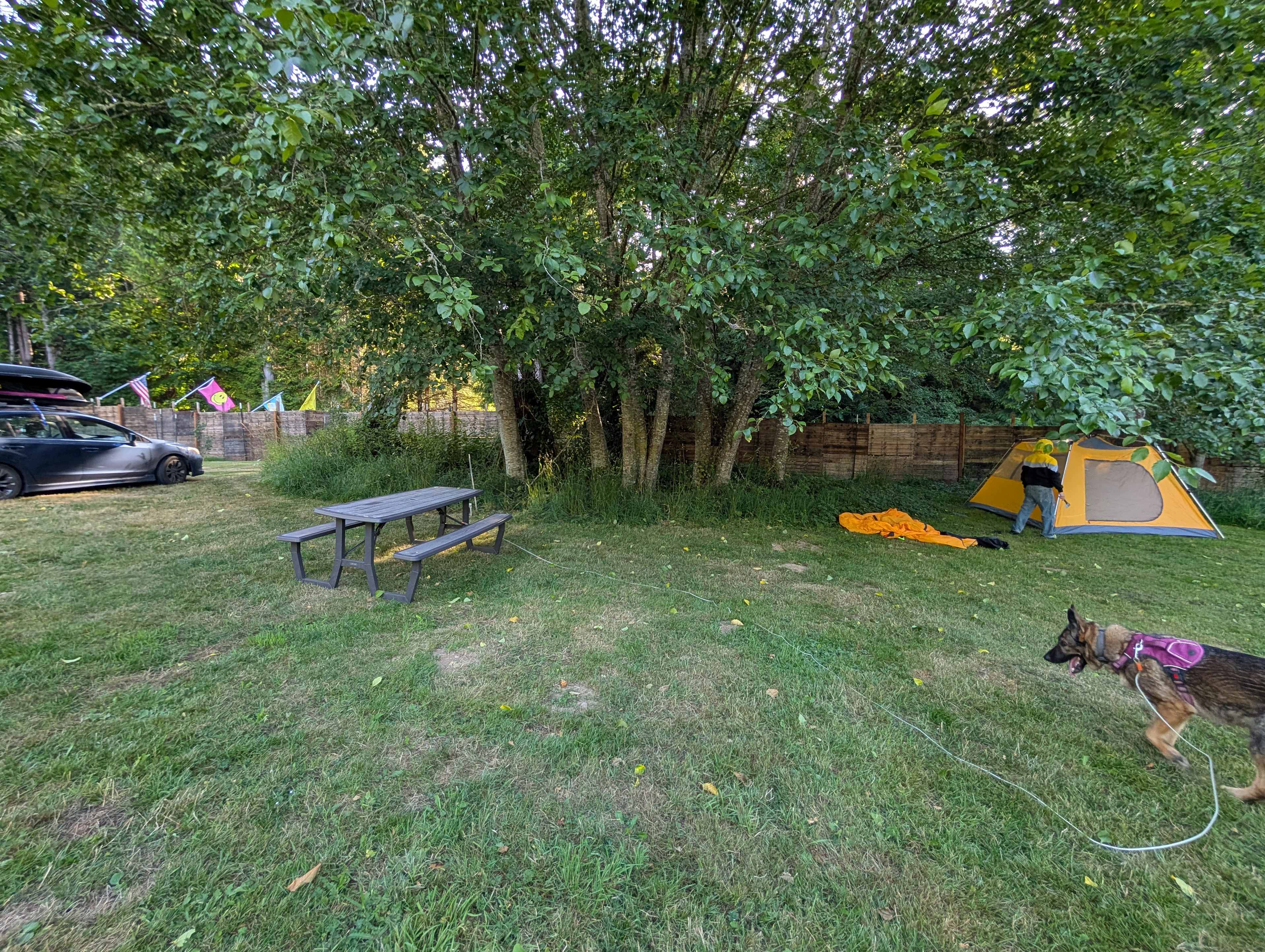 Camp site 5