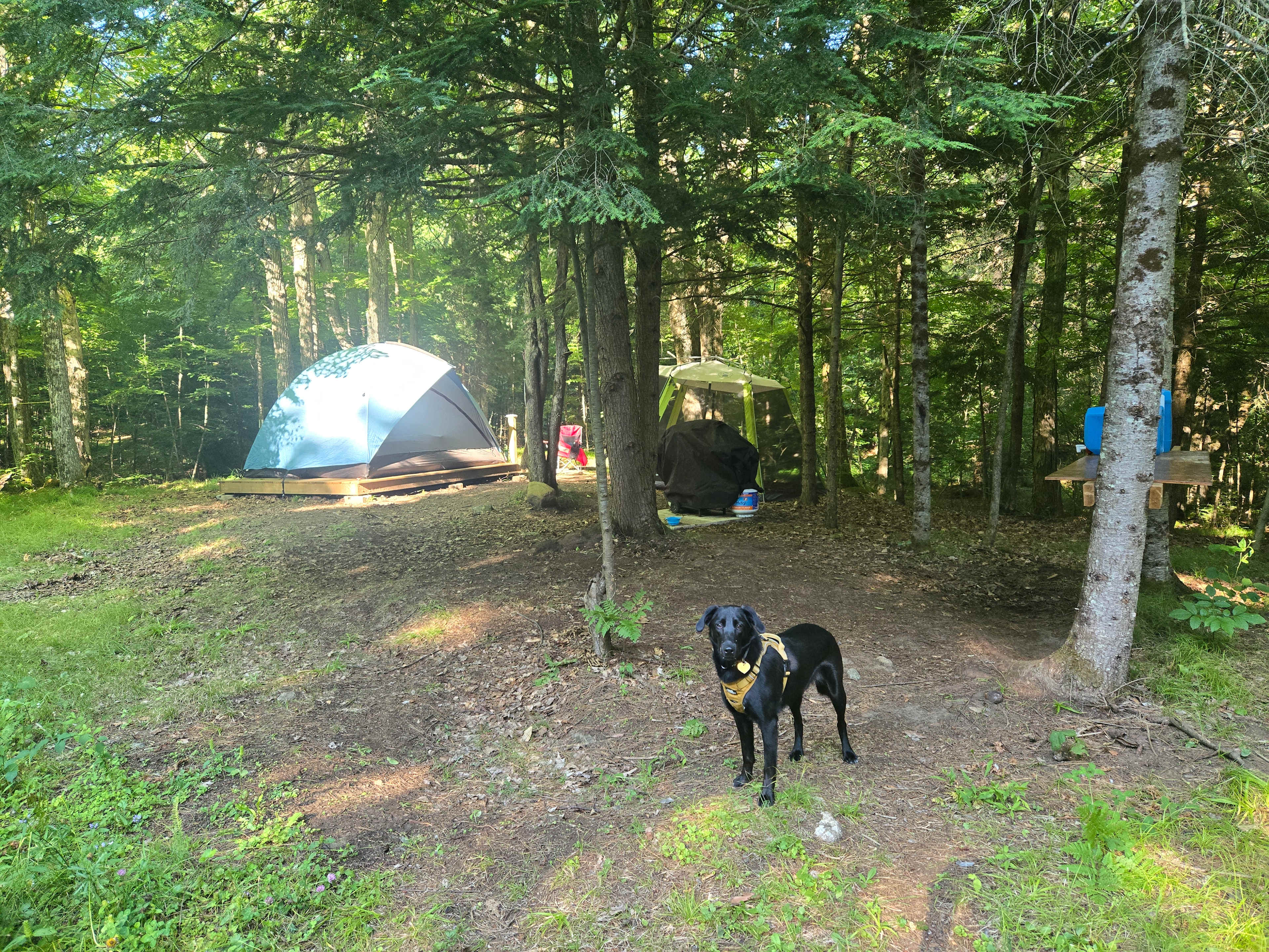 Camp site 