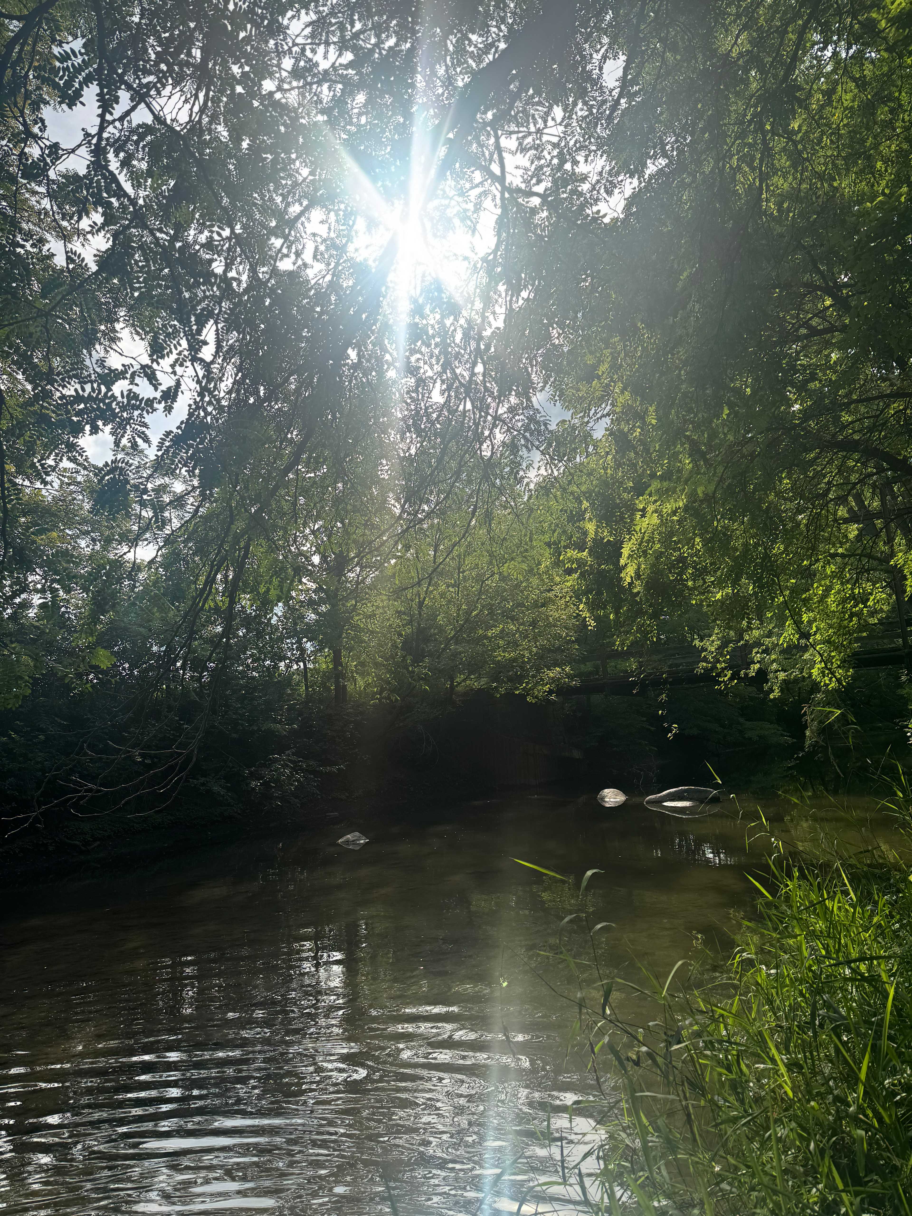 Creek by campsite 