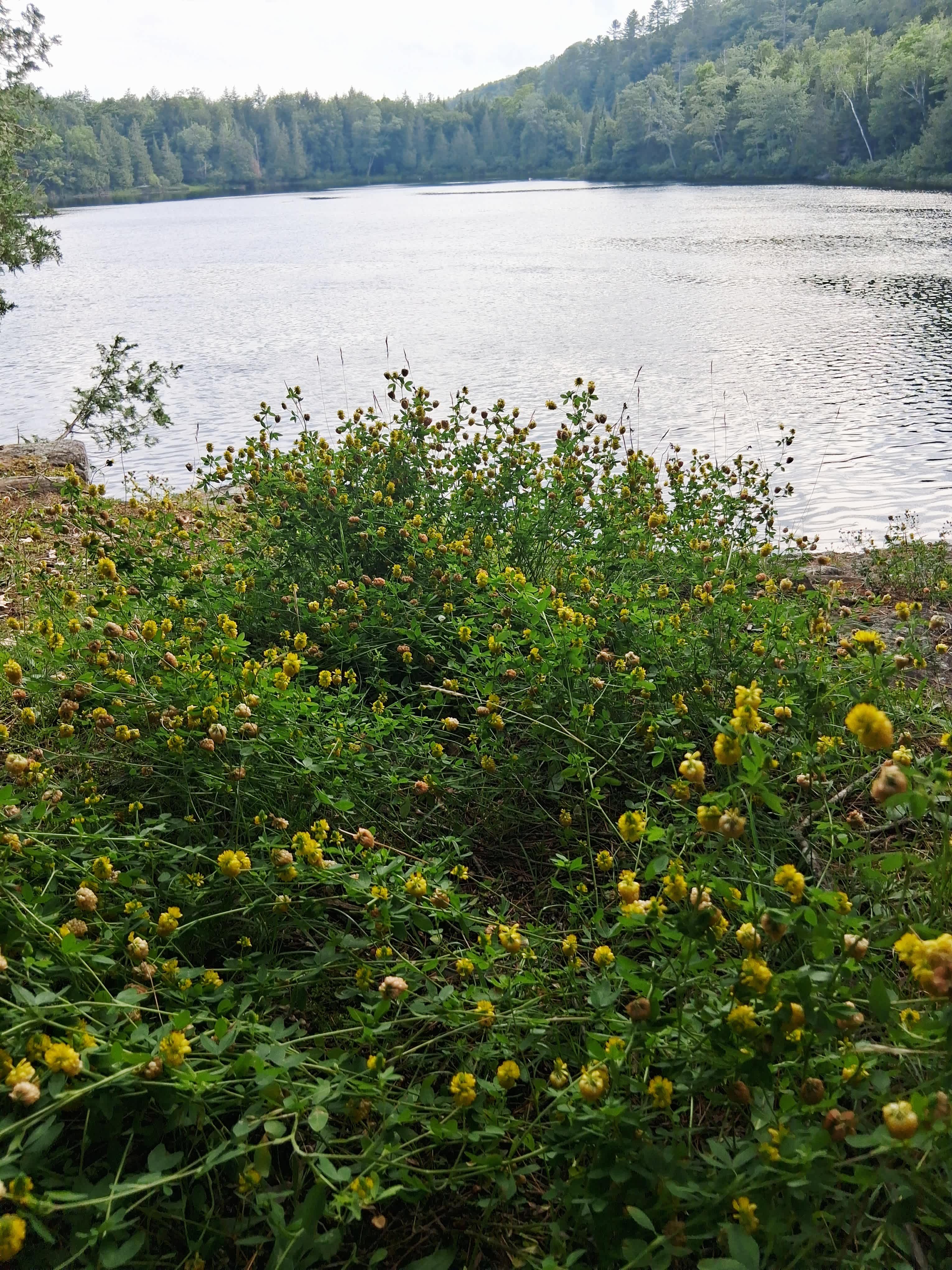 Our view from the campsite.