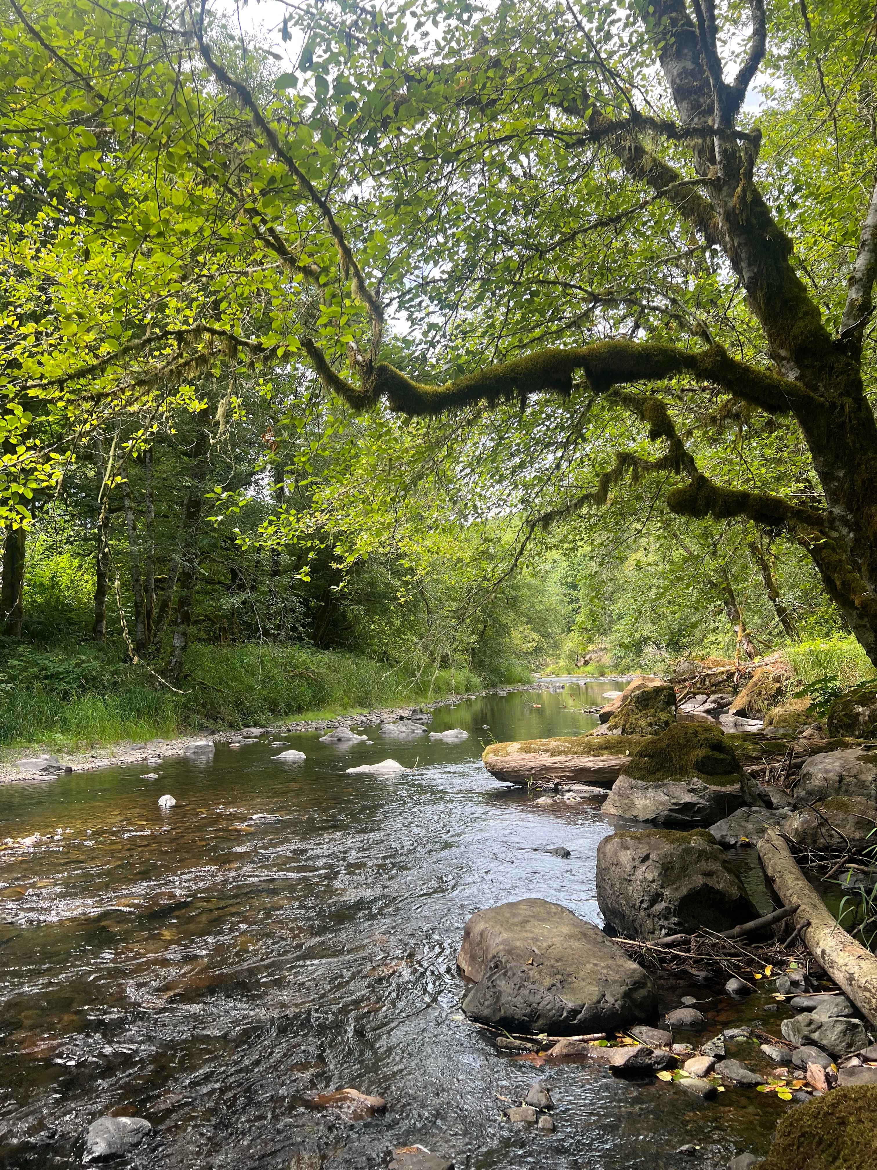 Keesee River Property