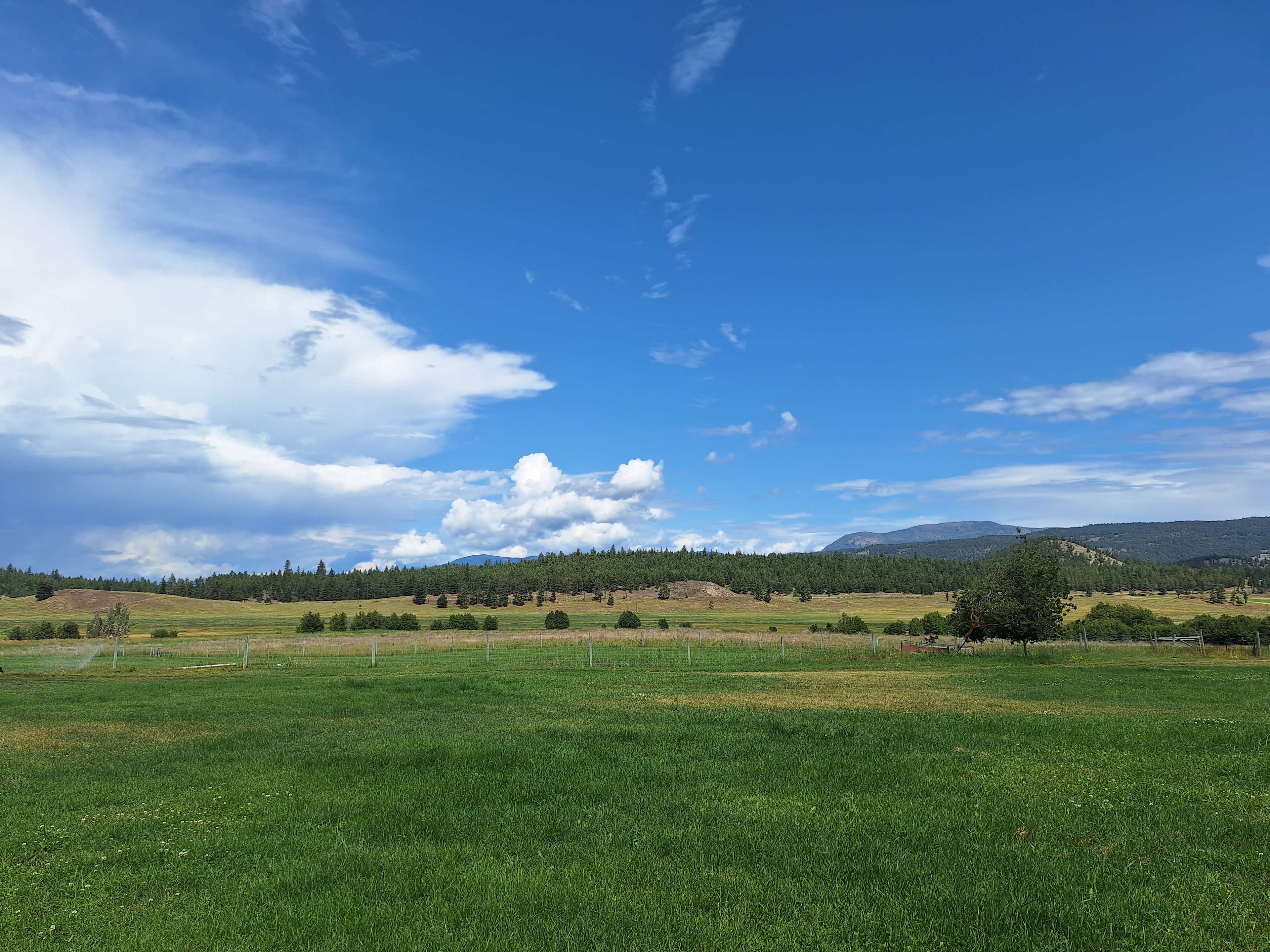 Holmwood Farm