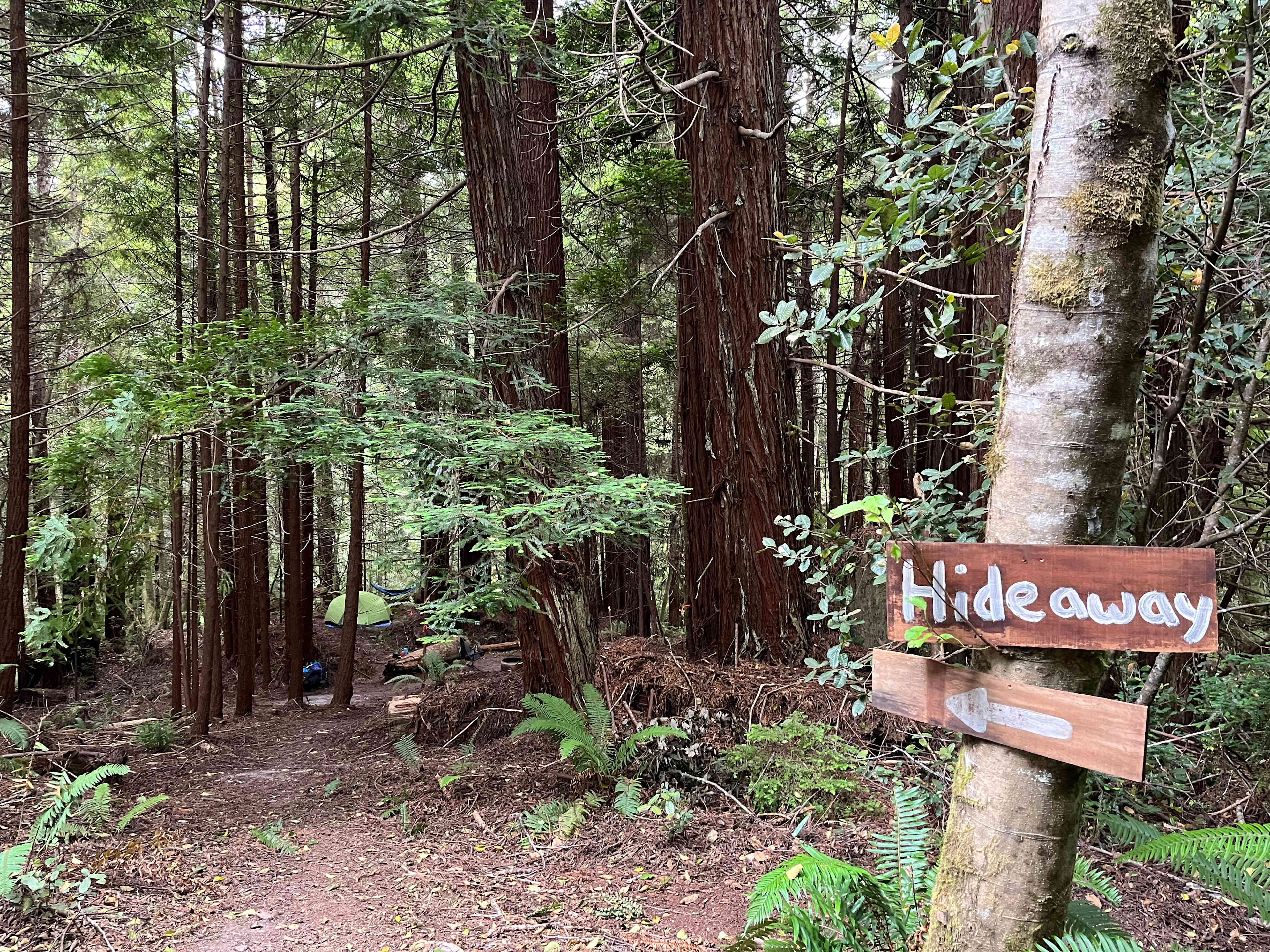 Bigfoot’s Coastal Hideaway
