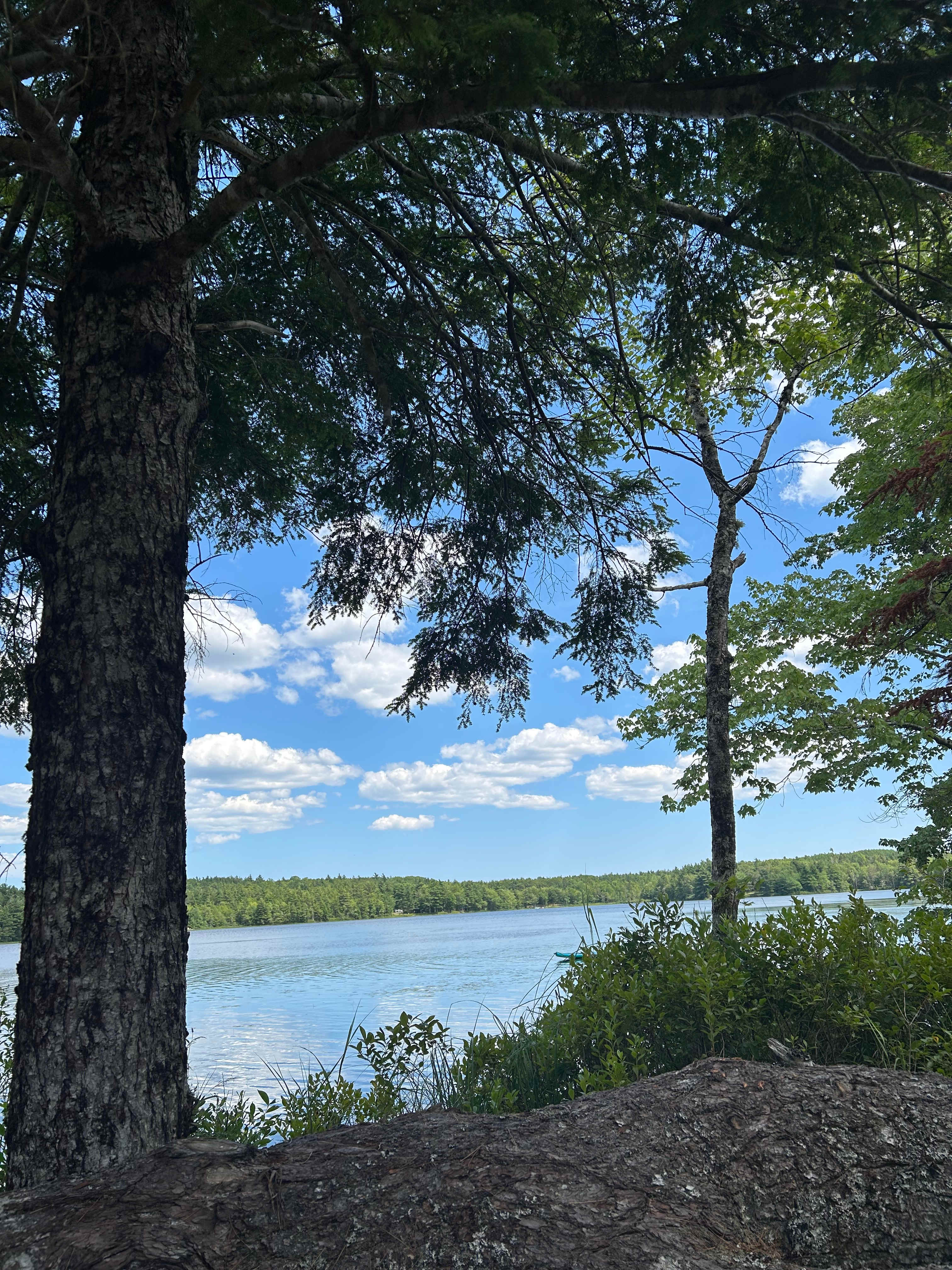 Ashland Lake Retreats At Grant Lake