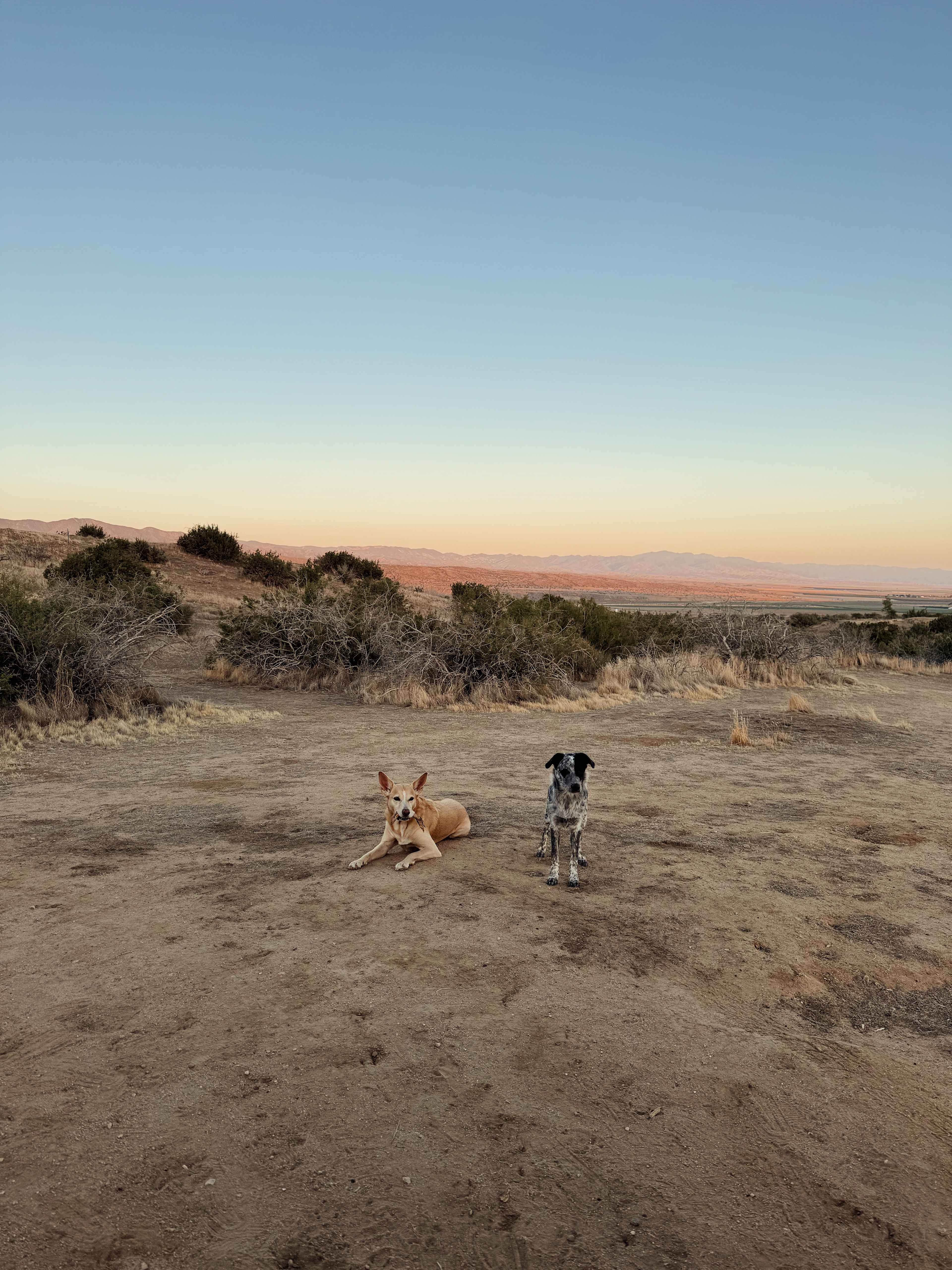Cuyama Badlands
