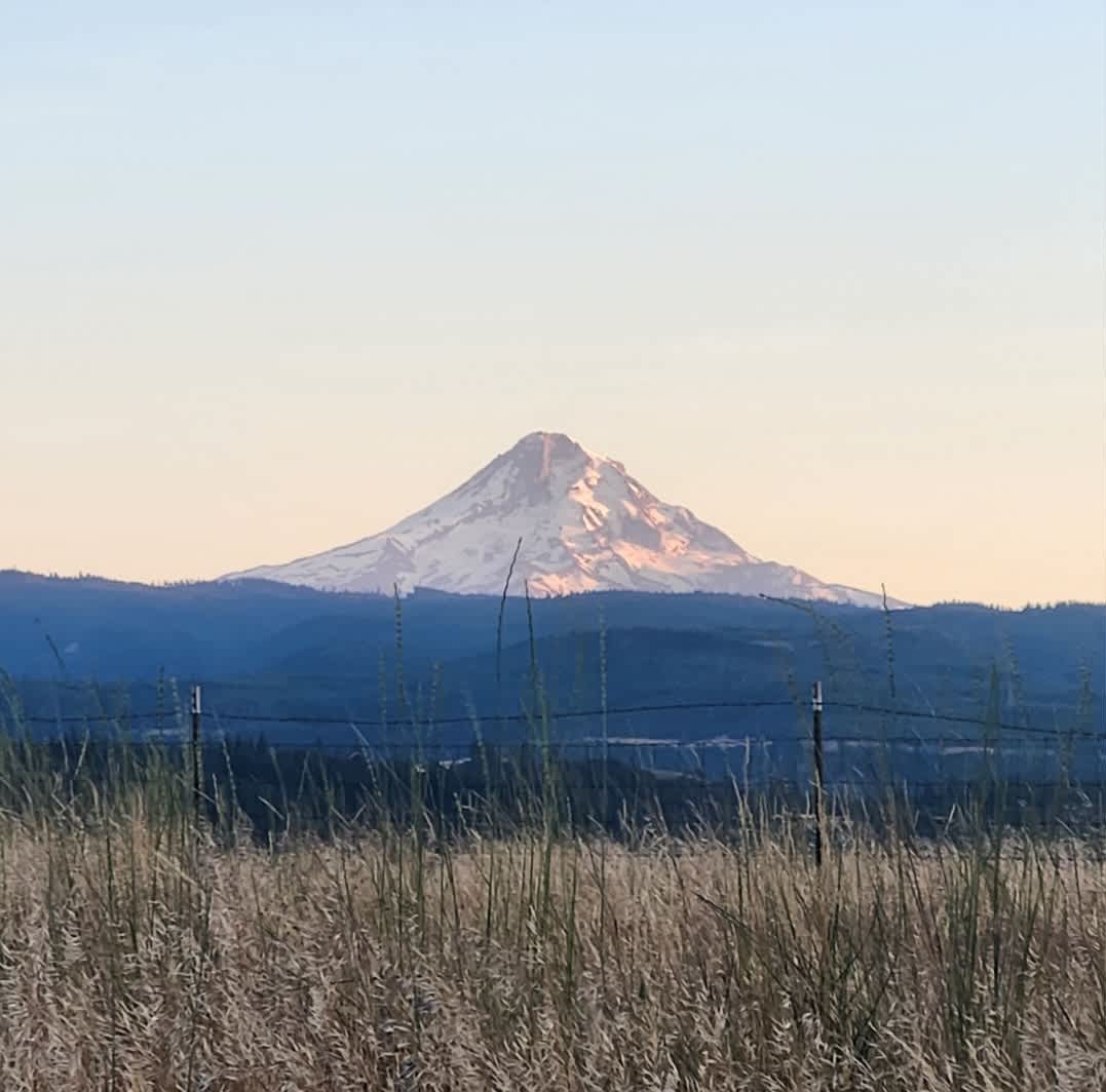 Harvest Haven Campground