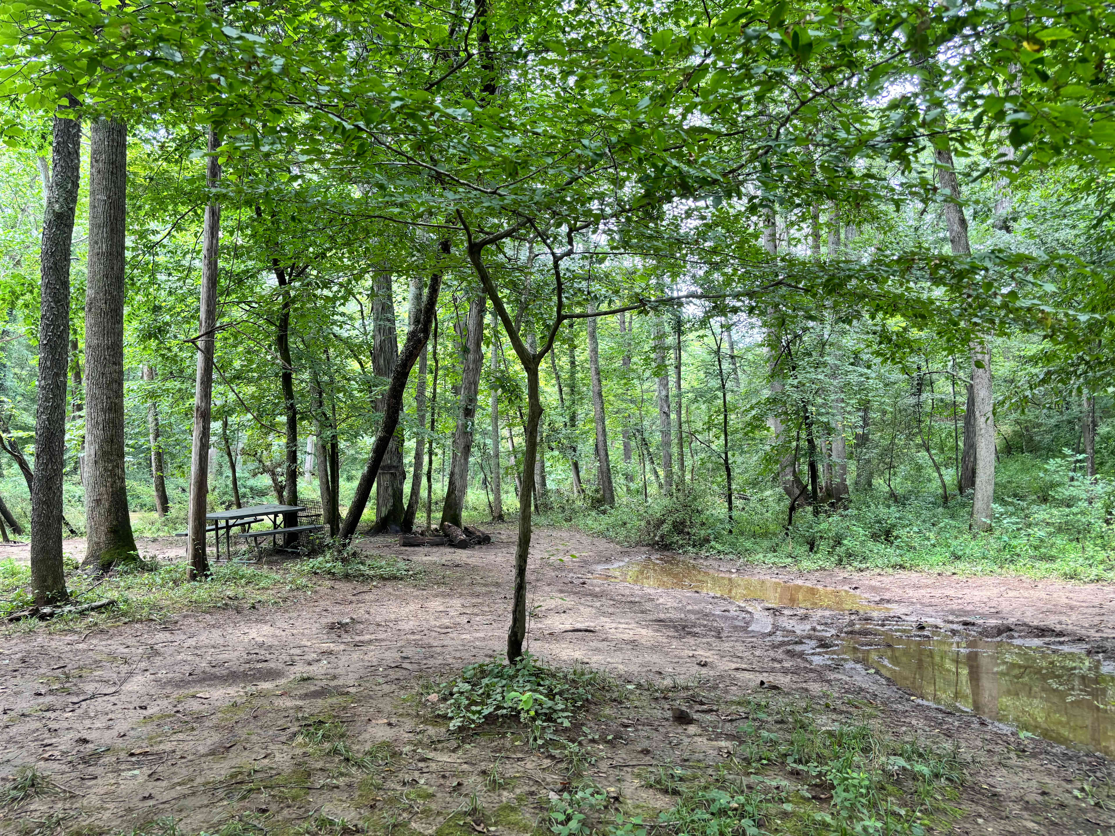 Camp Cedar Creek