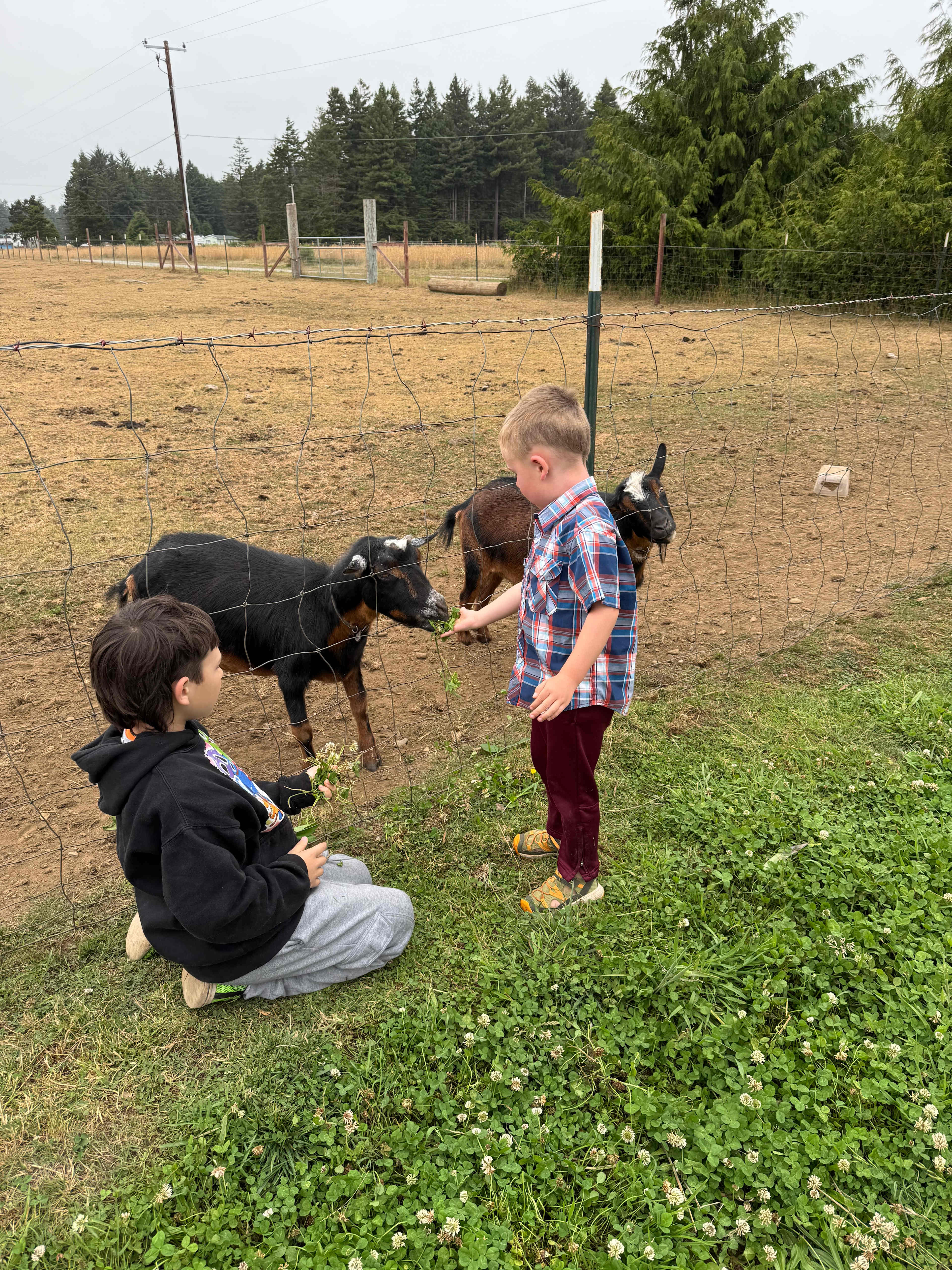 Ossia Village Farm
