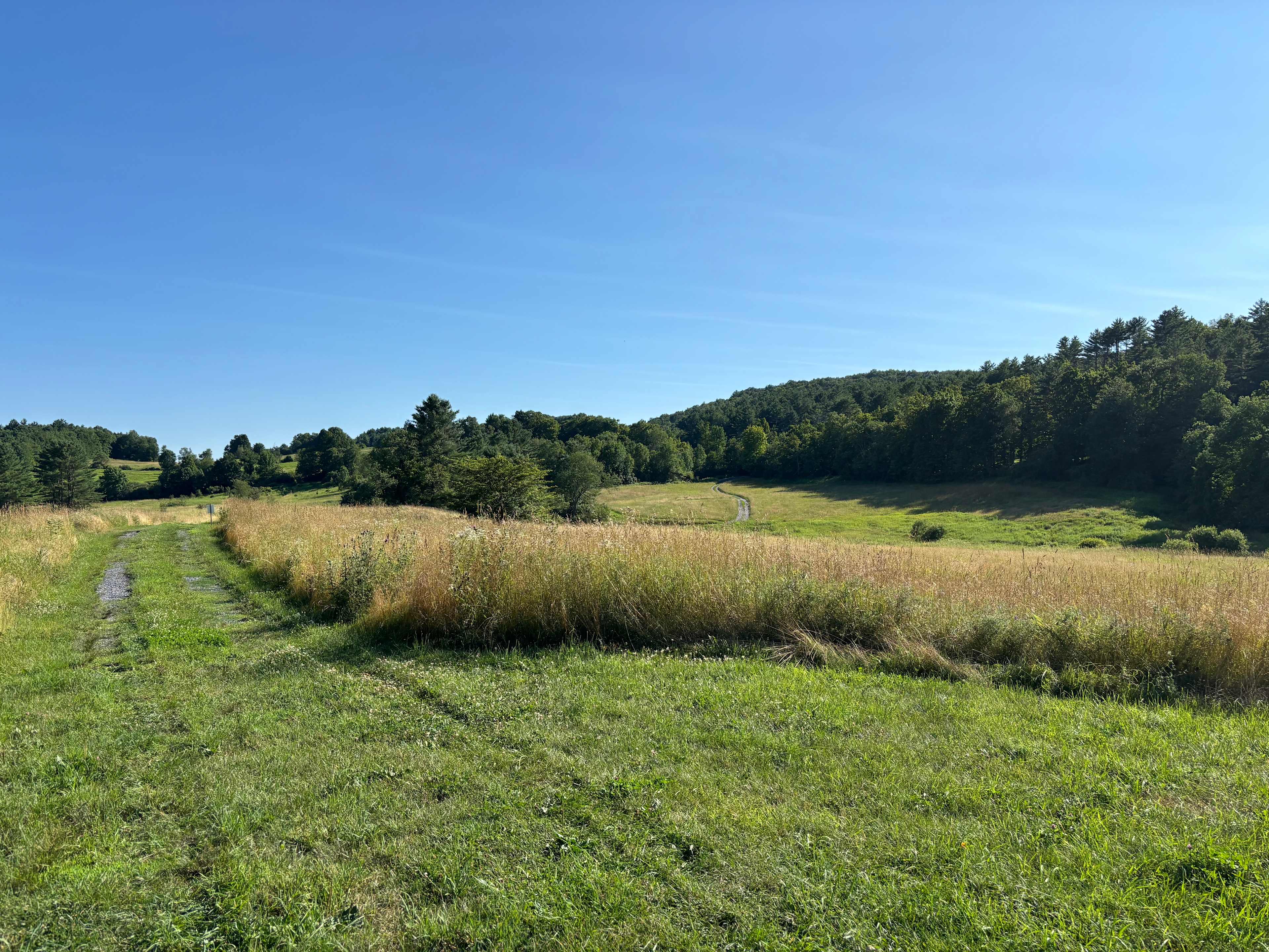 Harold's View Farm