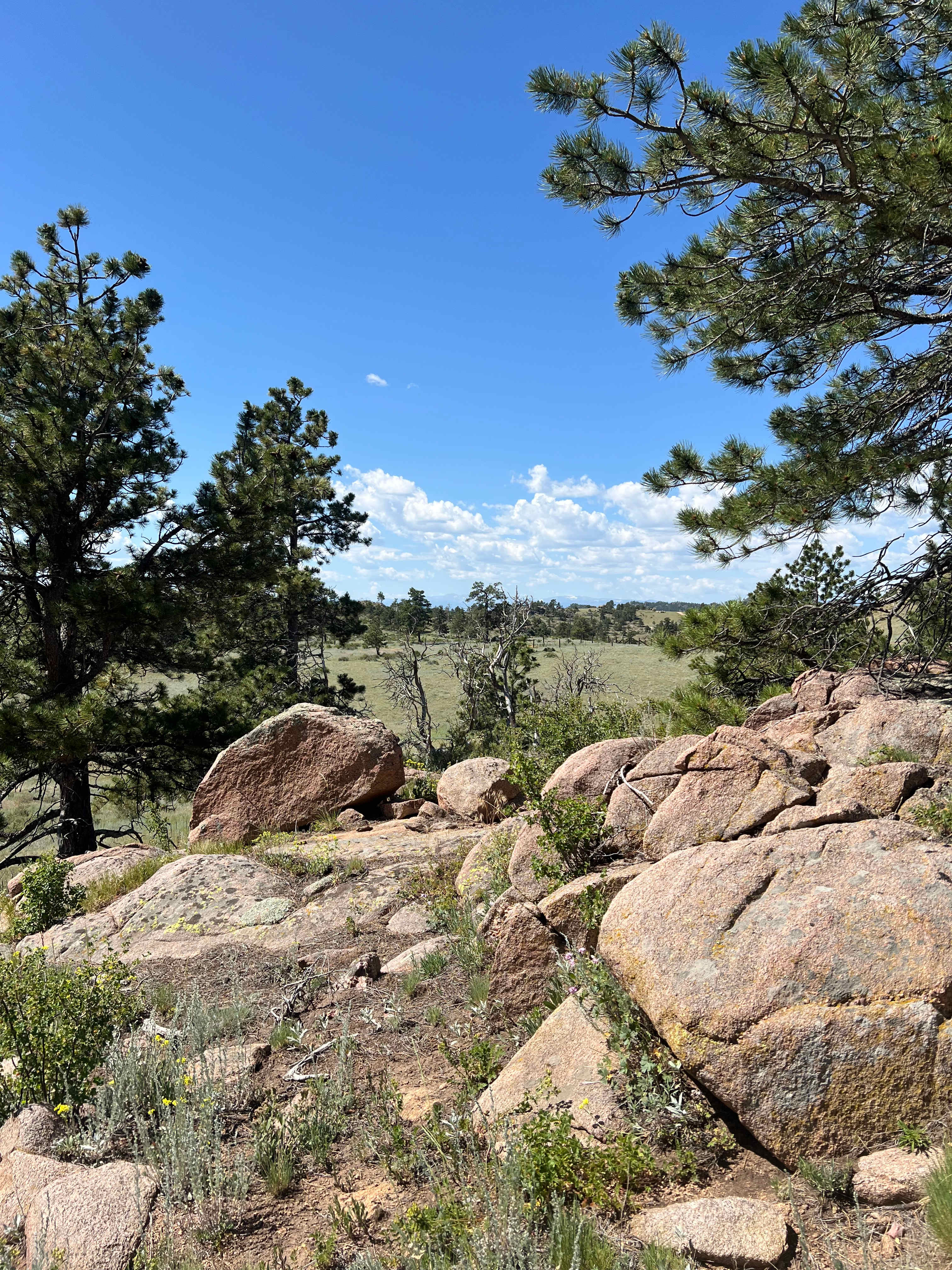 Logan Ranch Campground