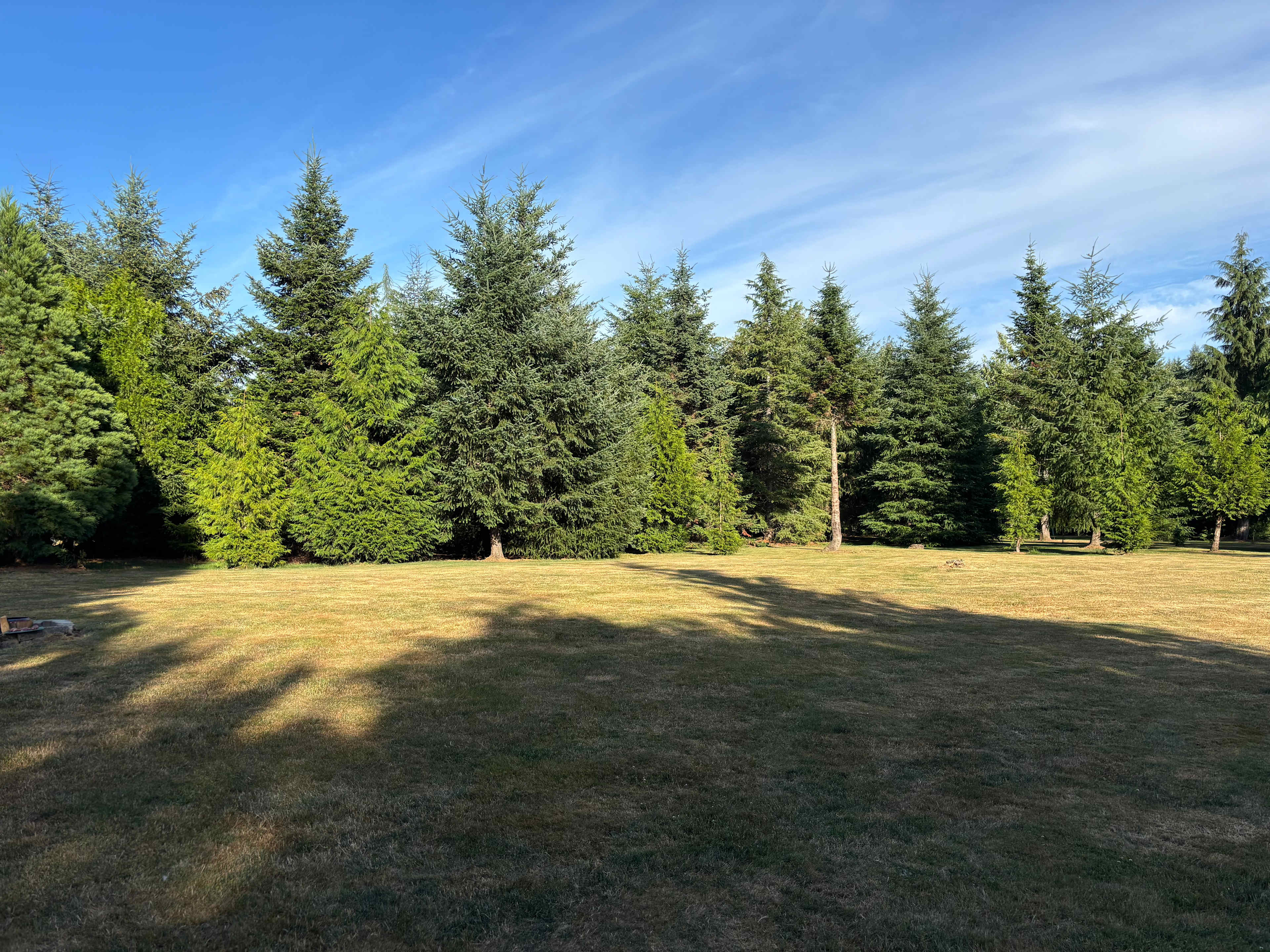The Arboretum at Bear Canyon West