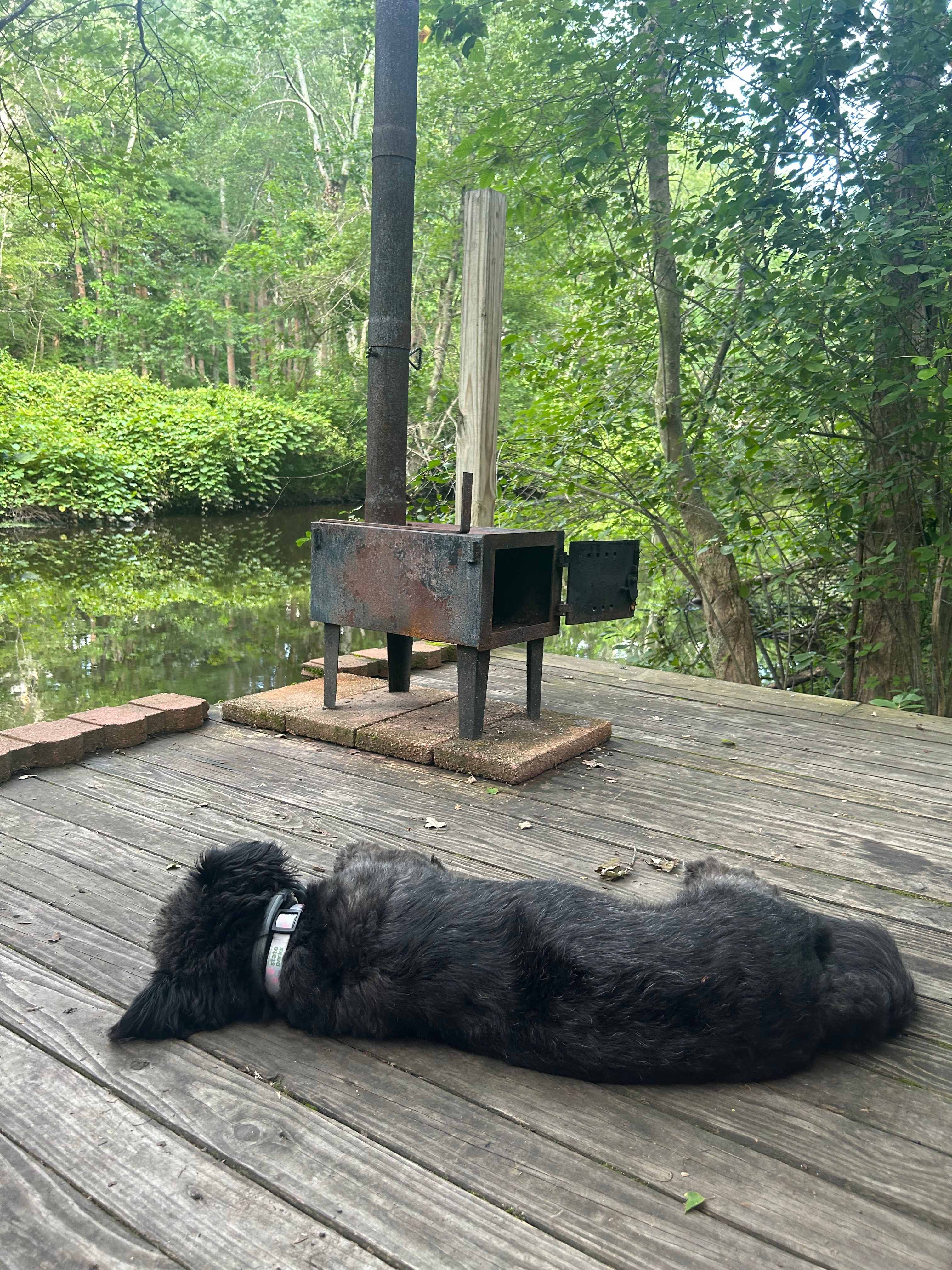 Lounging by the water