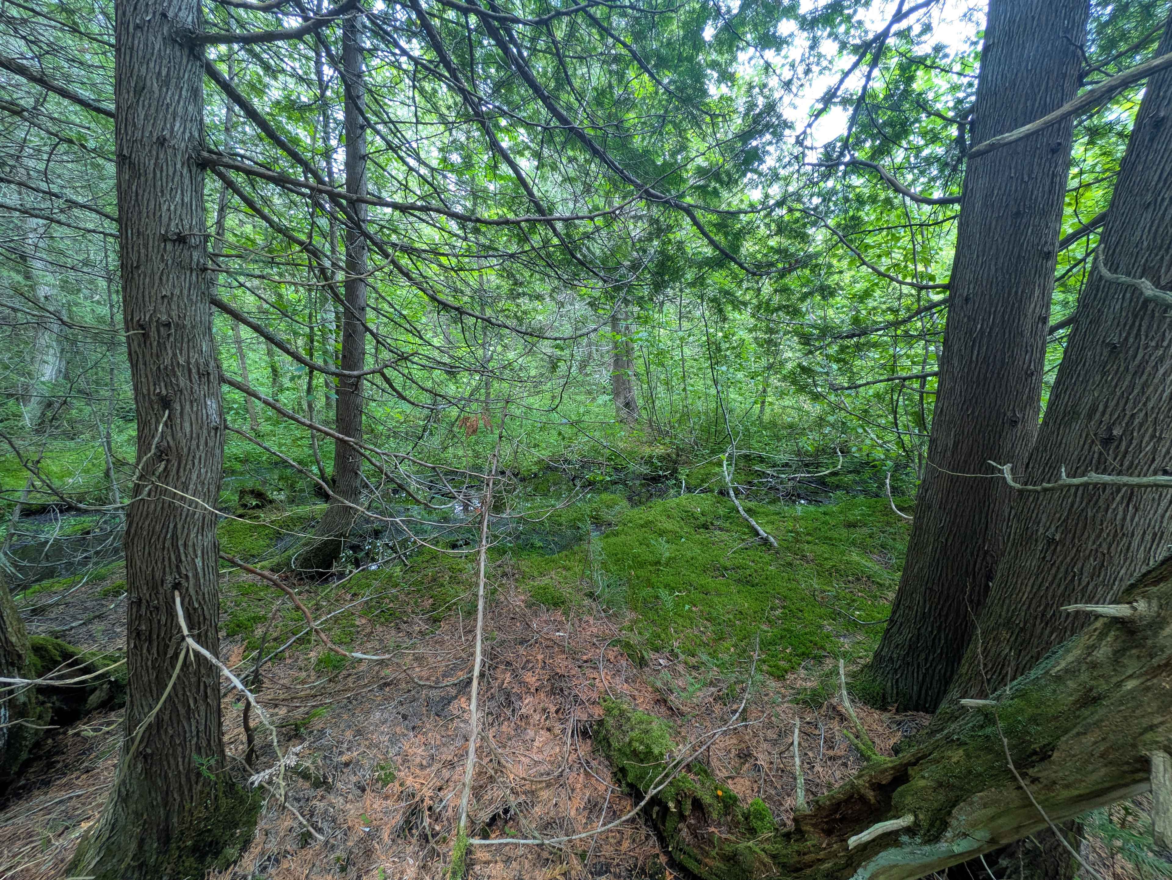 Dobedo Camps