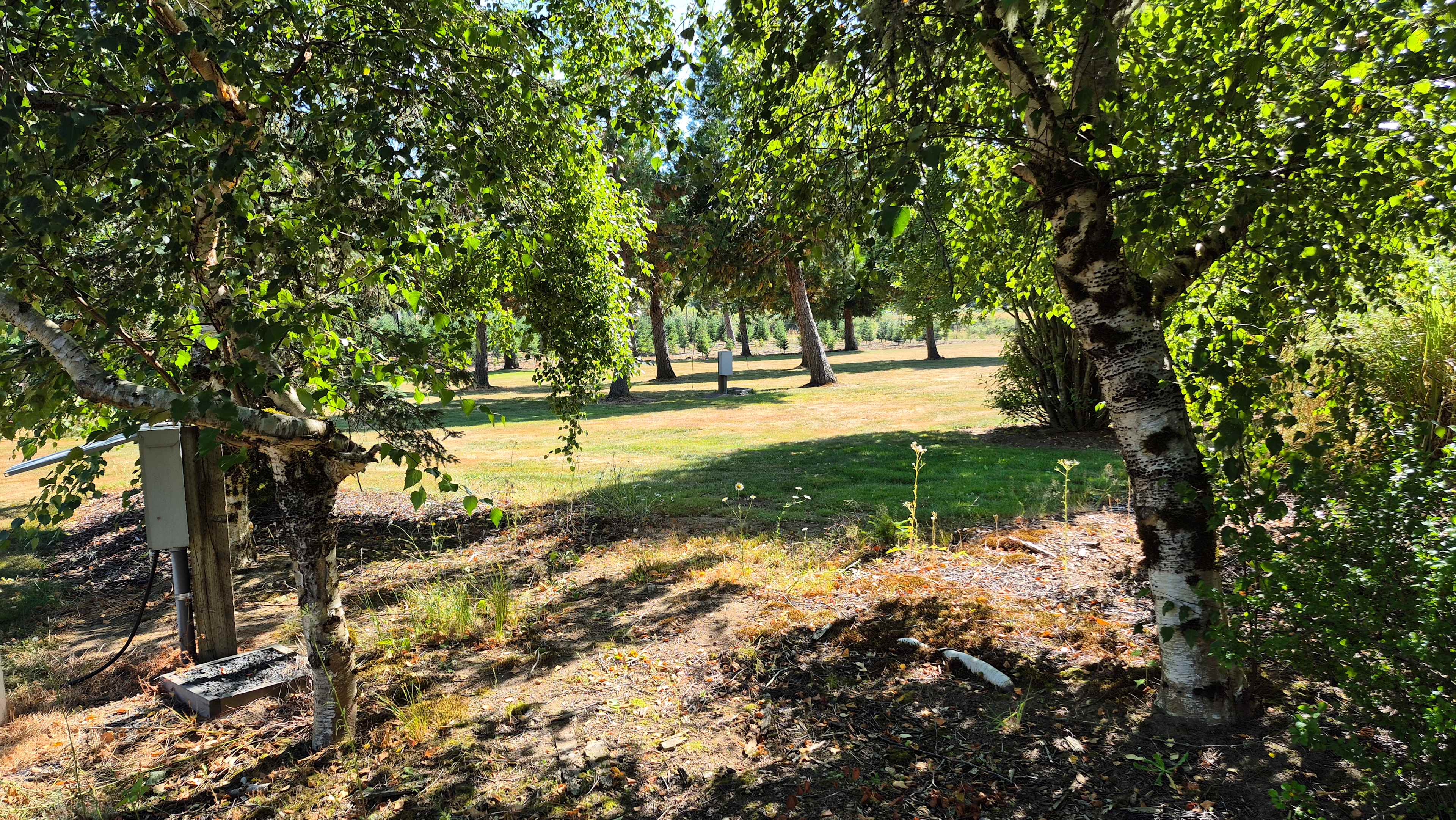 The Arboretum at Bear Canyon West