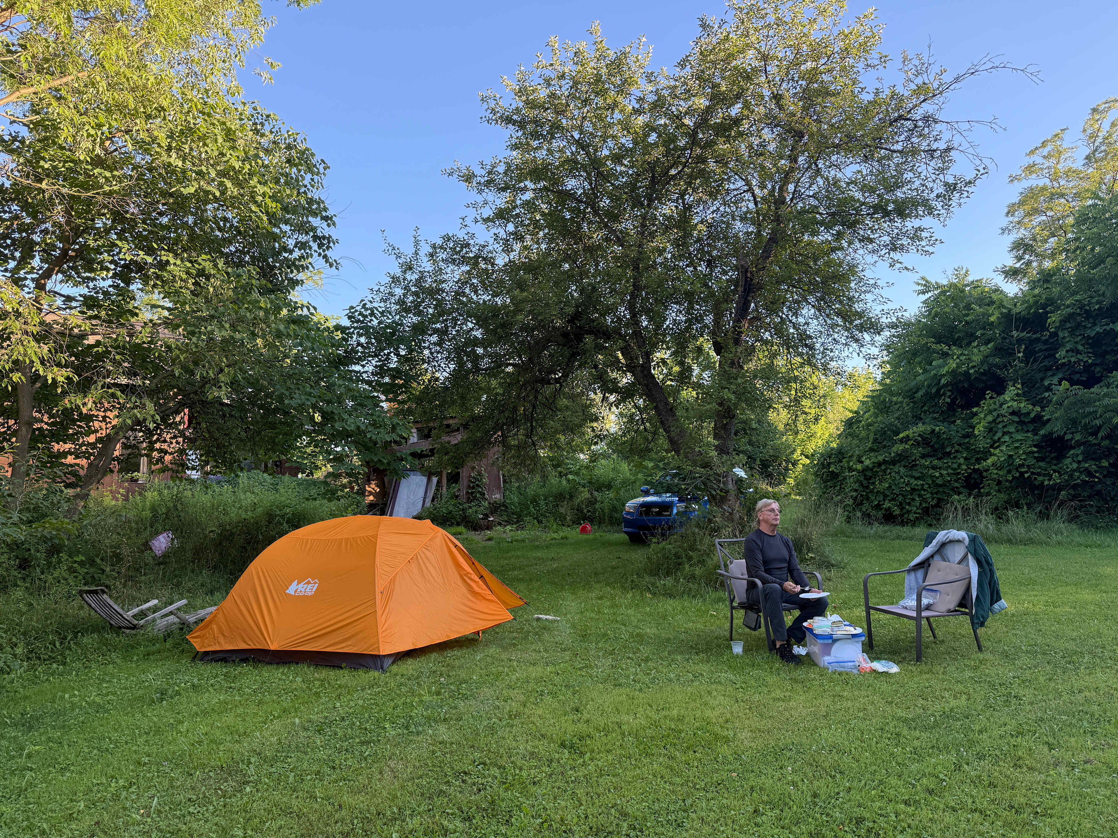 Robinia in Glenwood