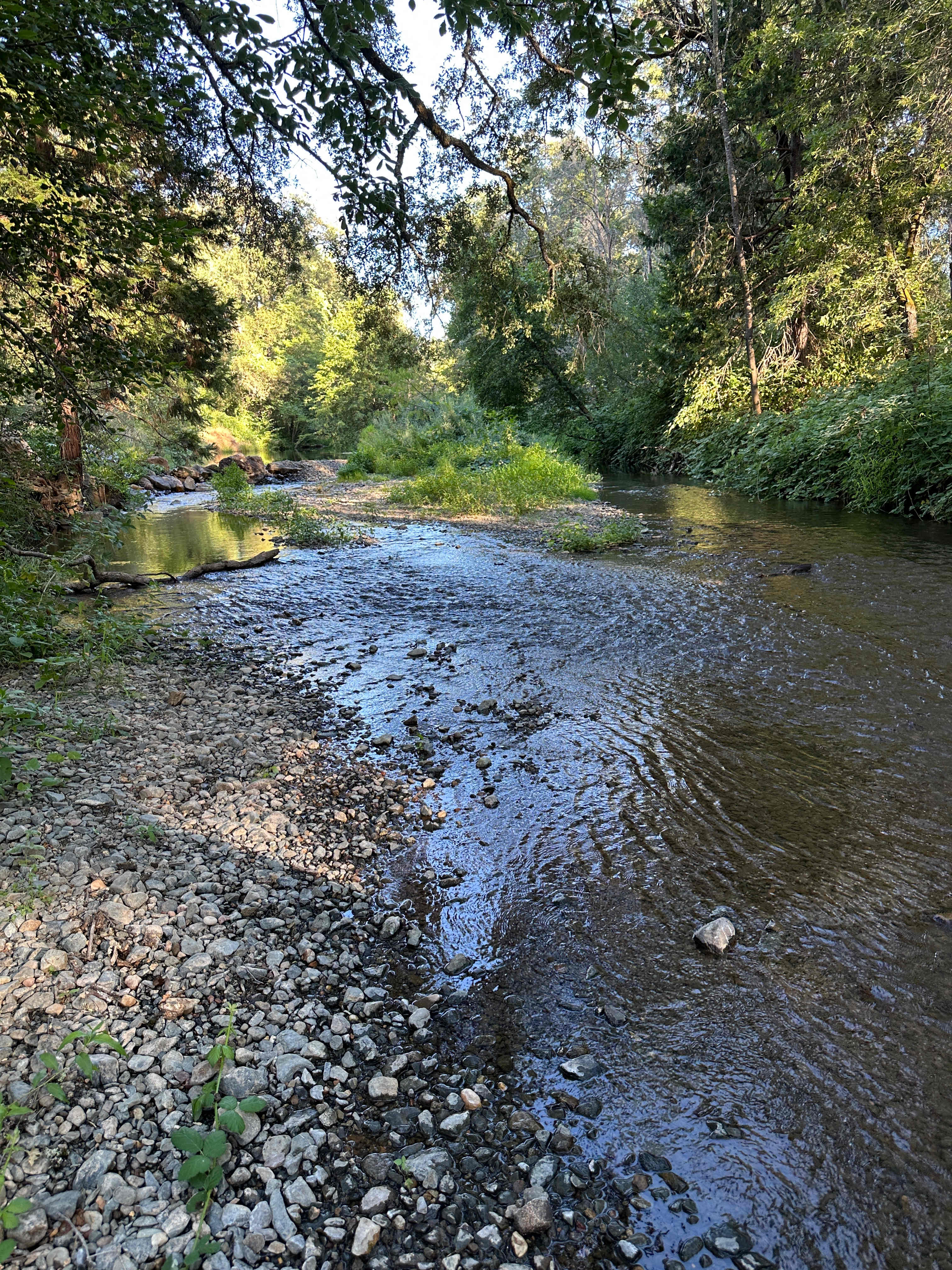 Camp Run Amuck Hollow