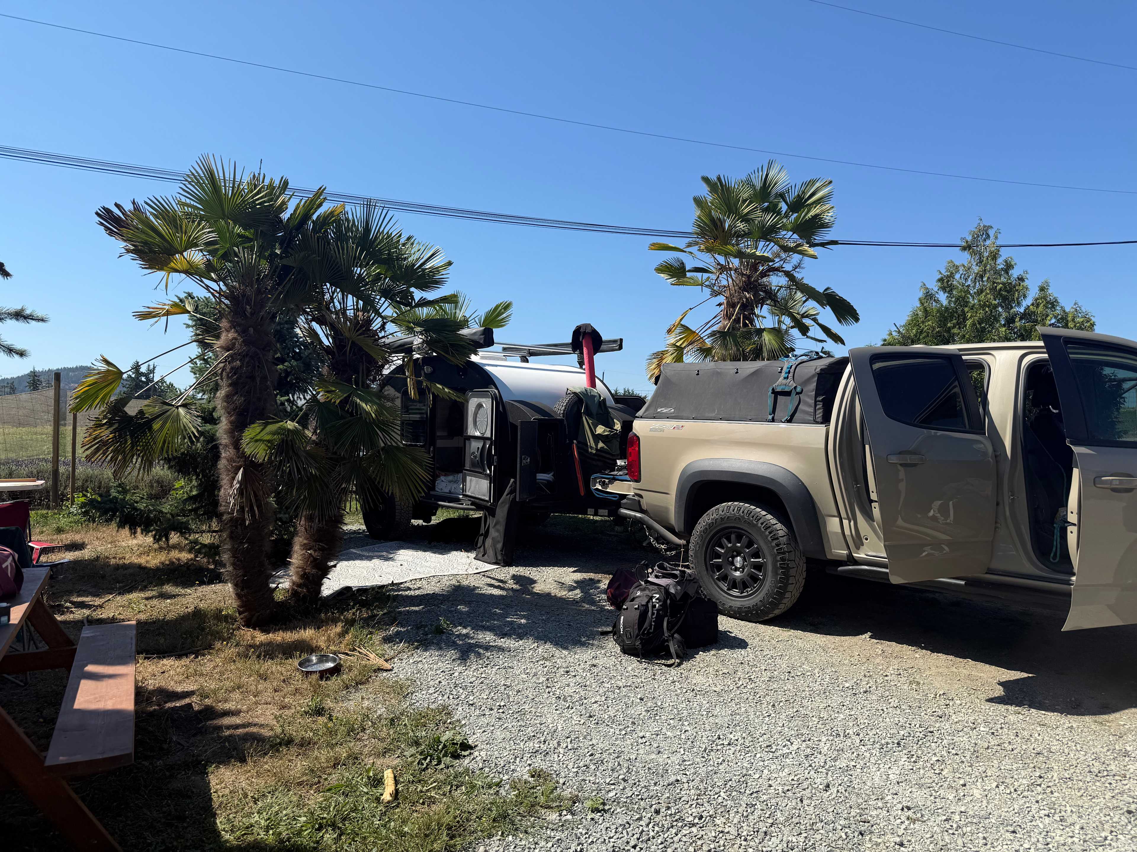 Fan Palm Farm