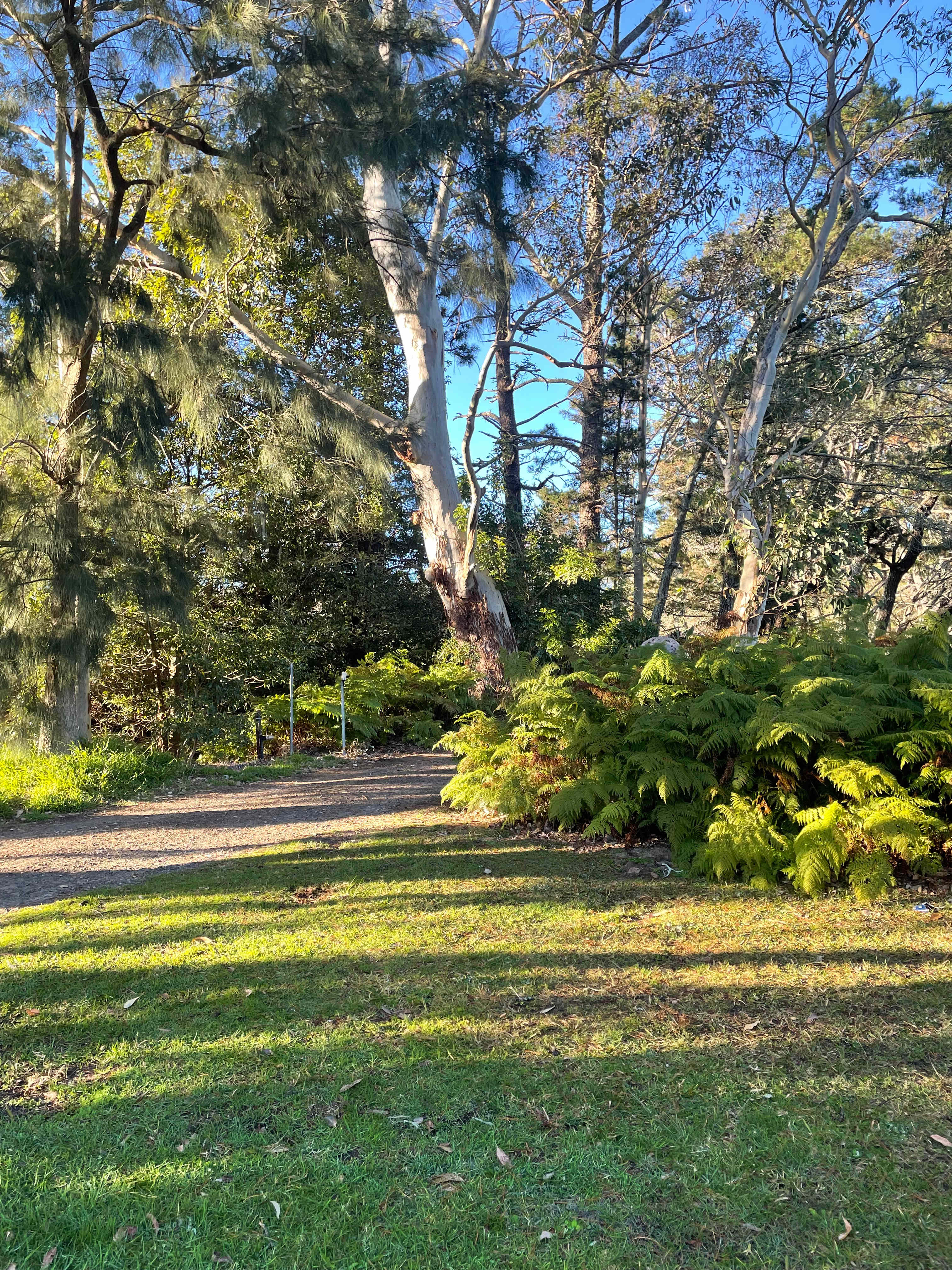 Fern Valley Ranch