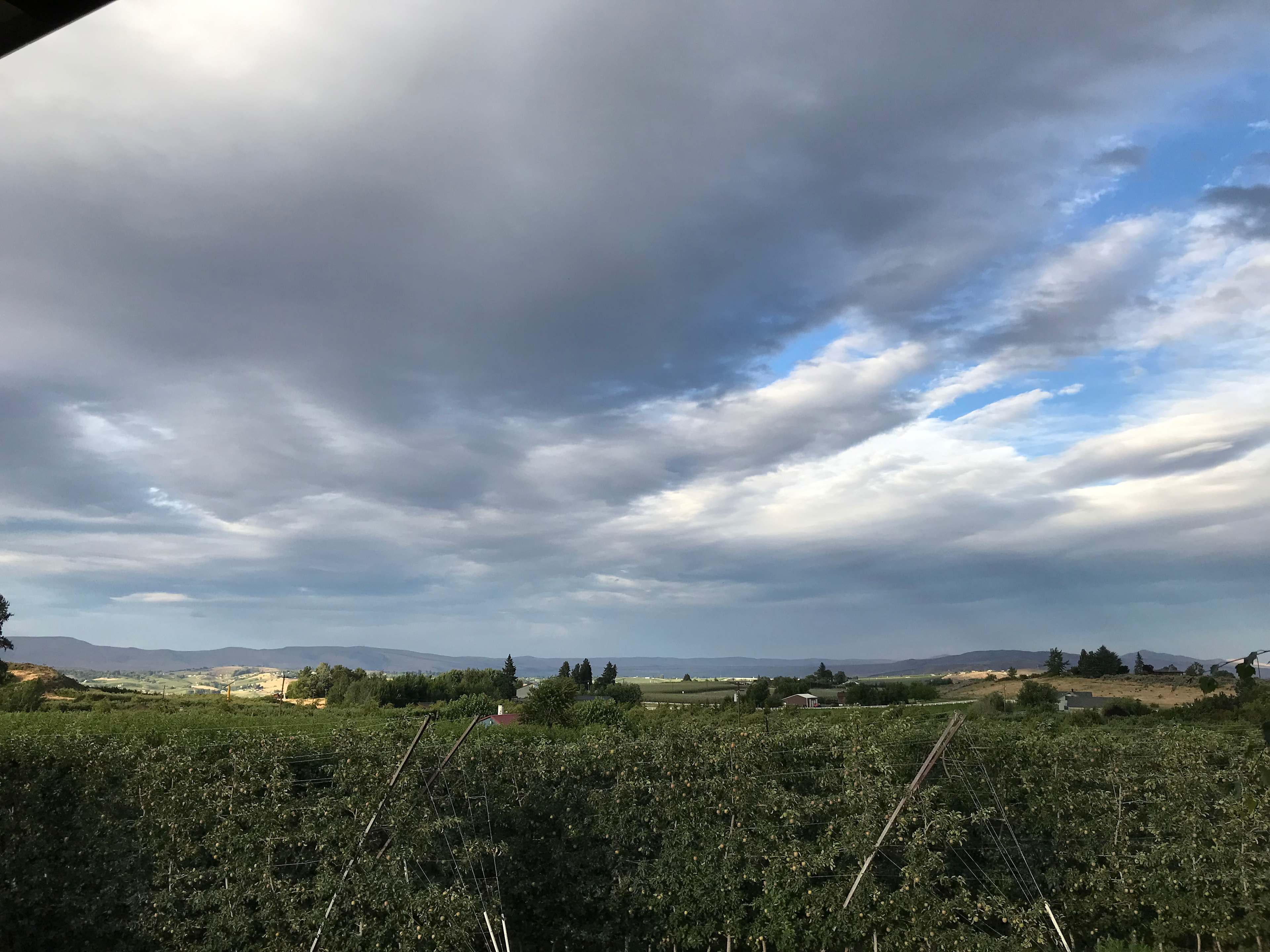  View from cottage 