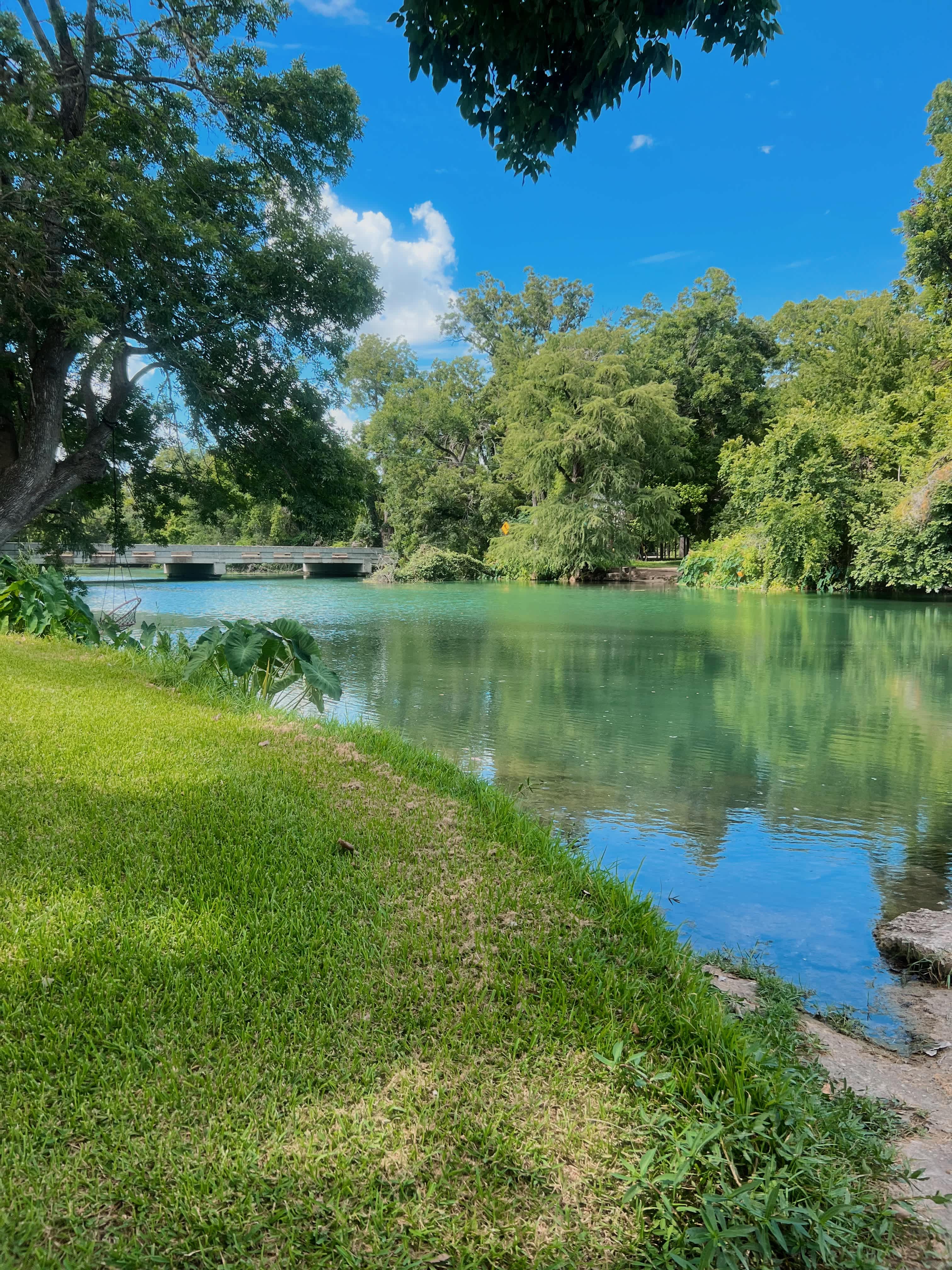 The Best Dam Spot
