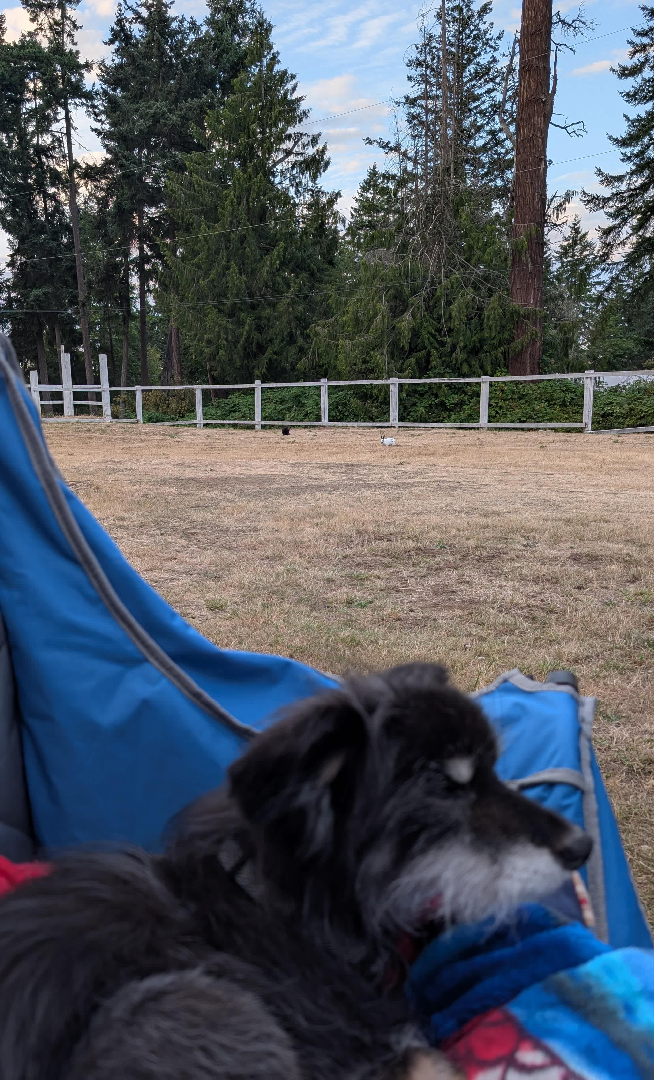 Wild Coast Parksville Campsite