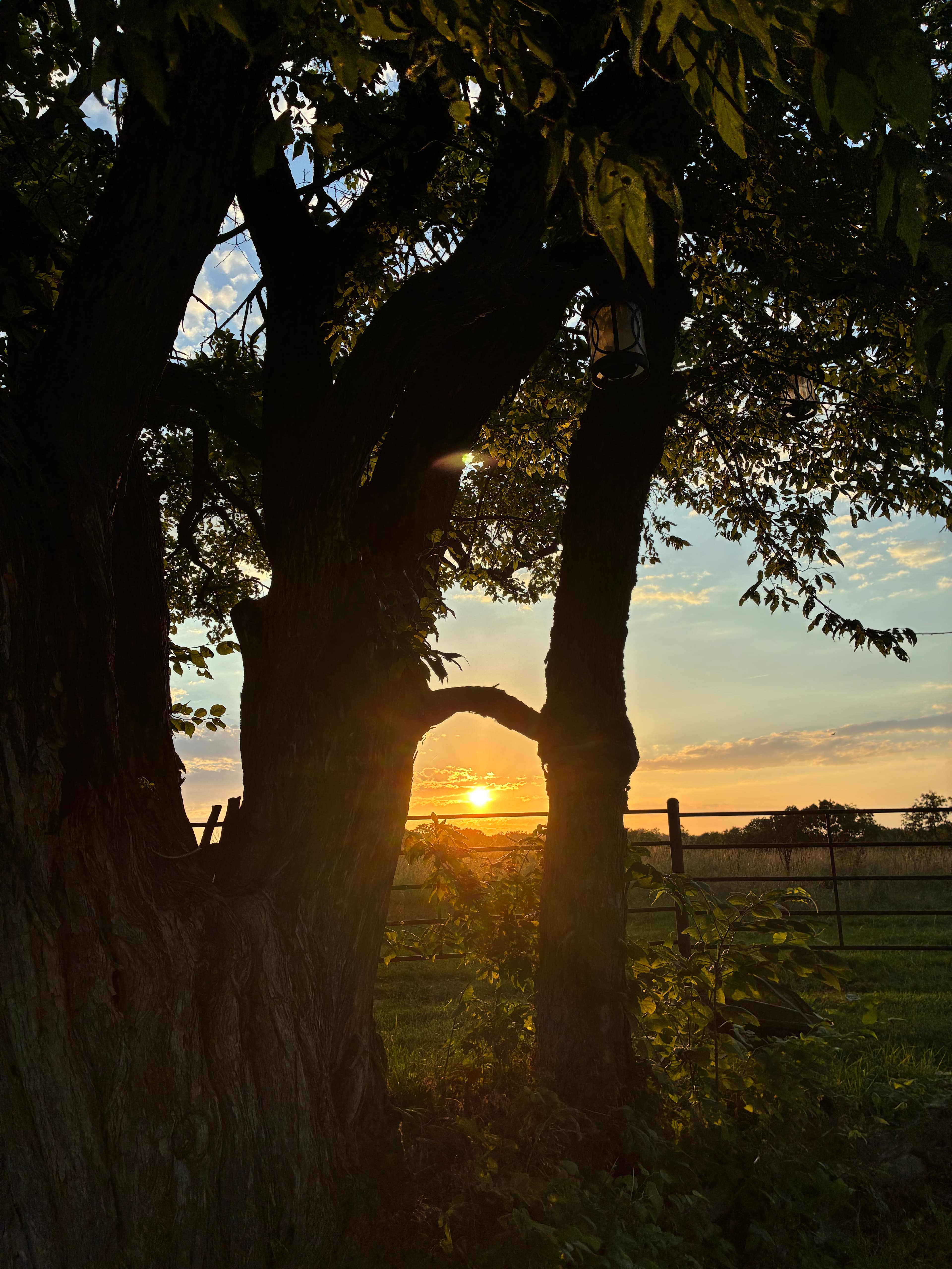 Treloar Ranch