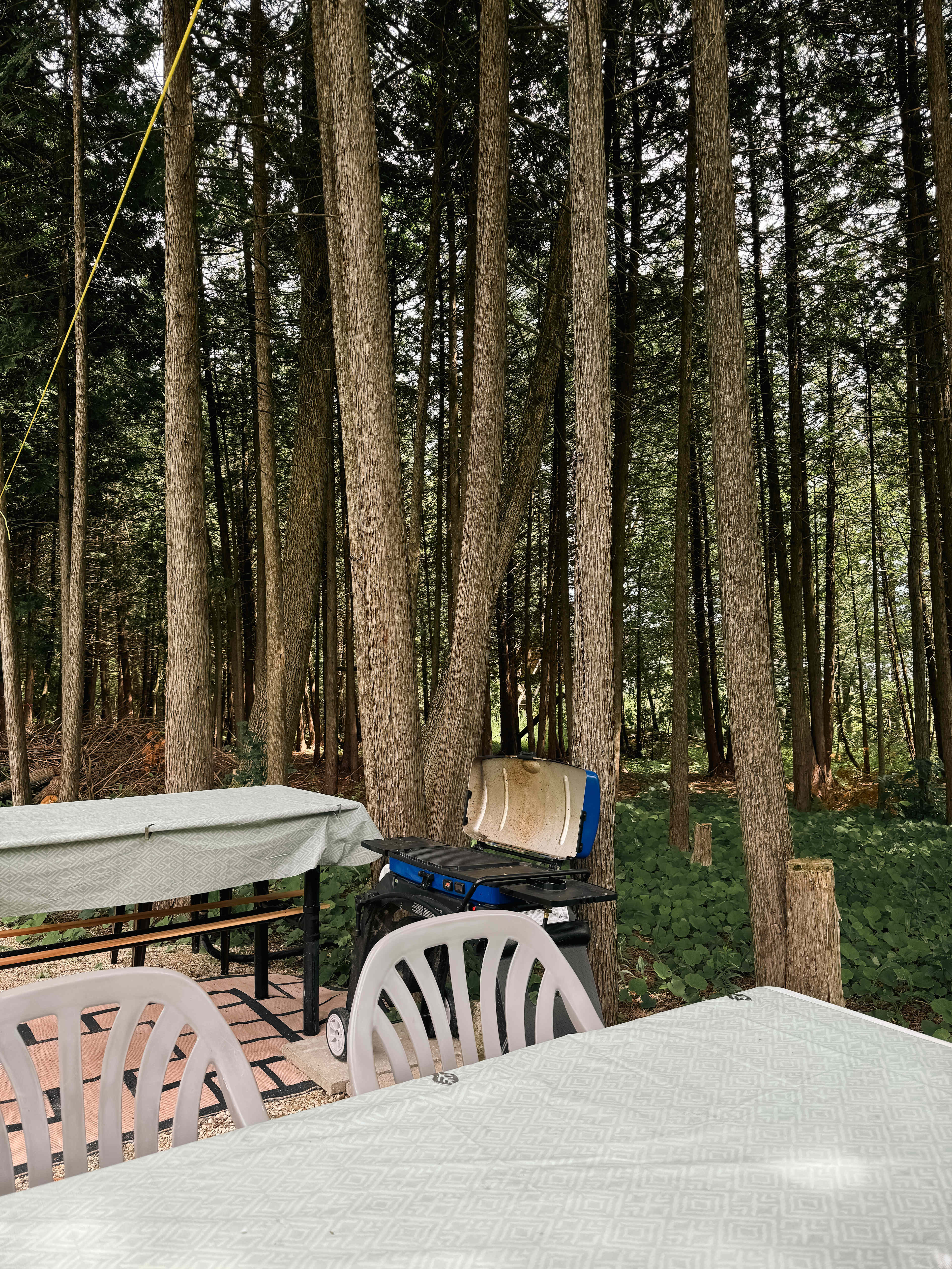 Cedar Acres
