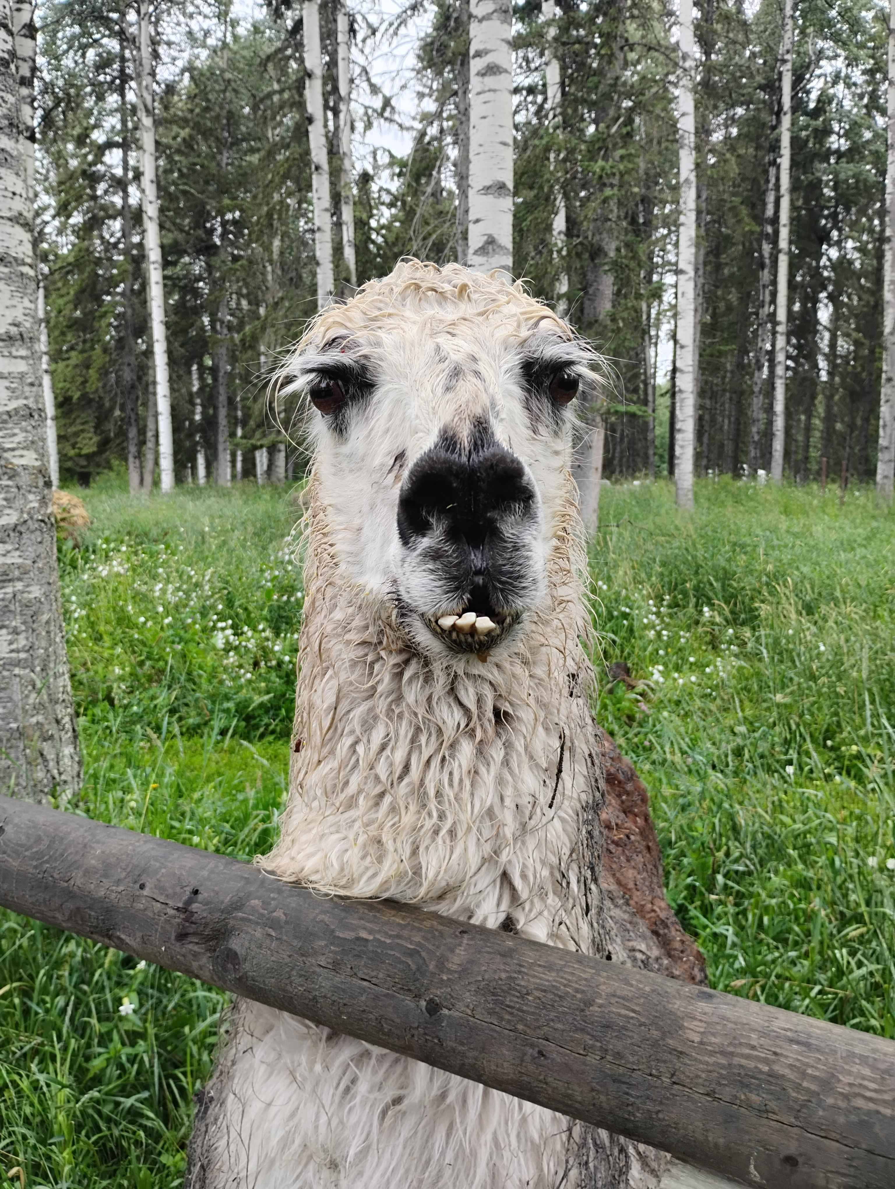 What a handsome guy 