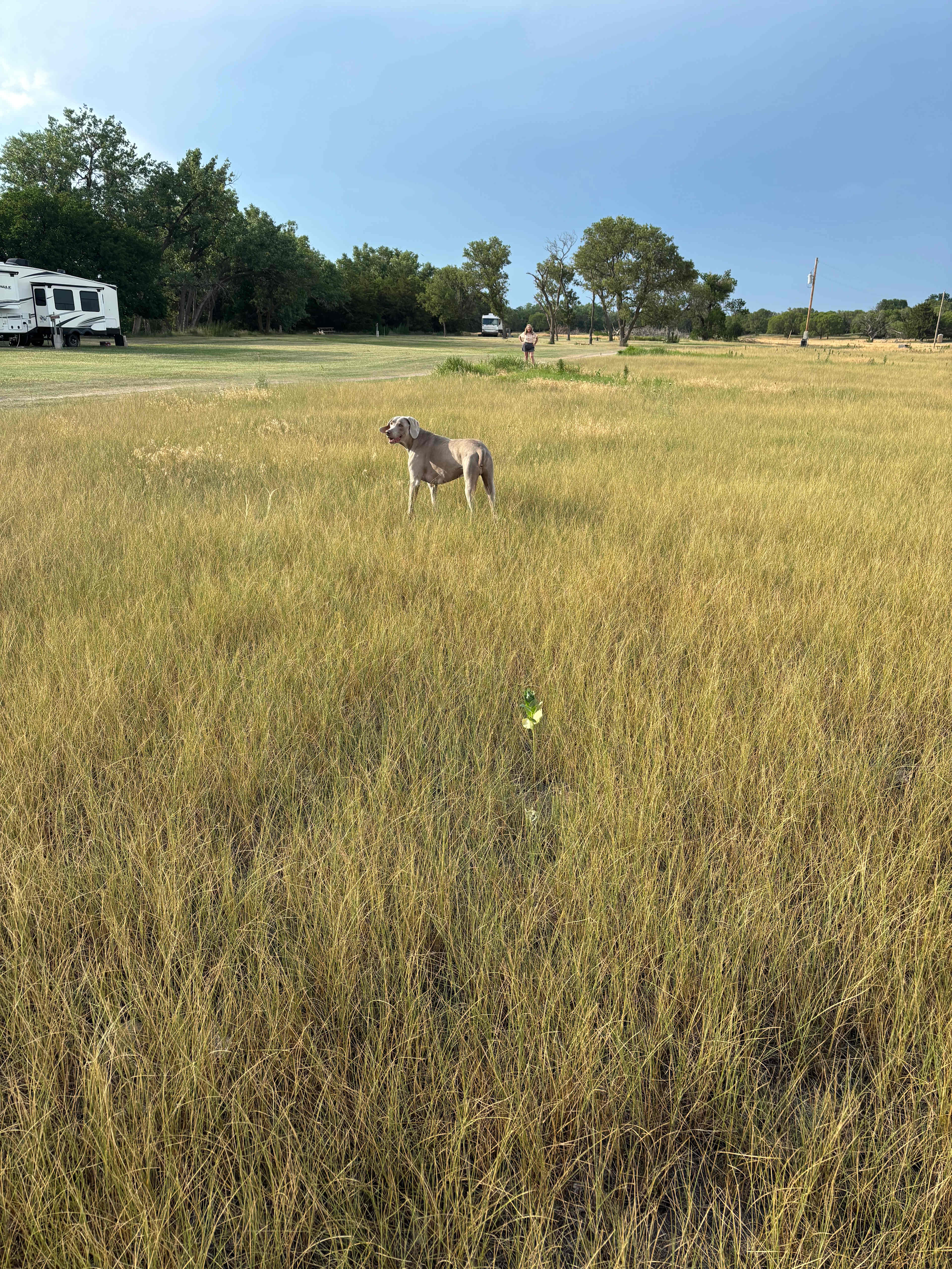 C2T Ranch on the Saline River